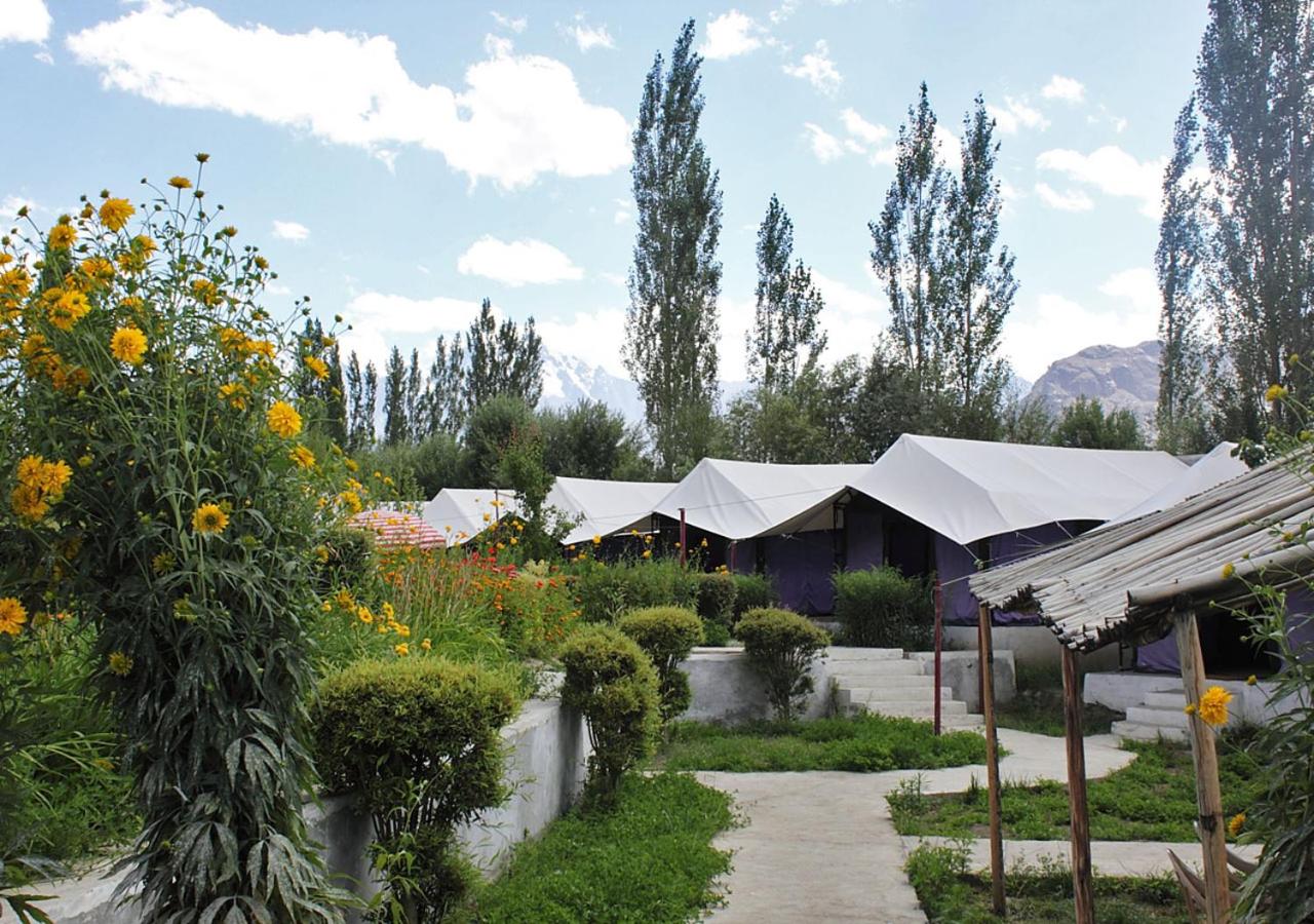 Tiger Camp Nubra view 5