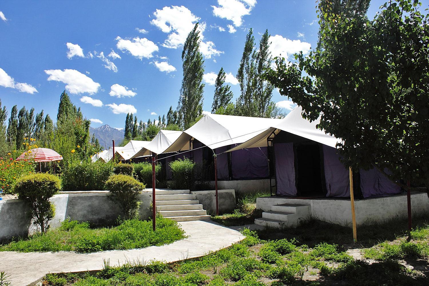 Tiger Camp Nubra view 4