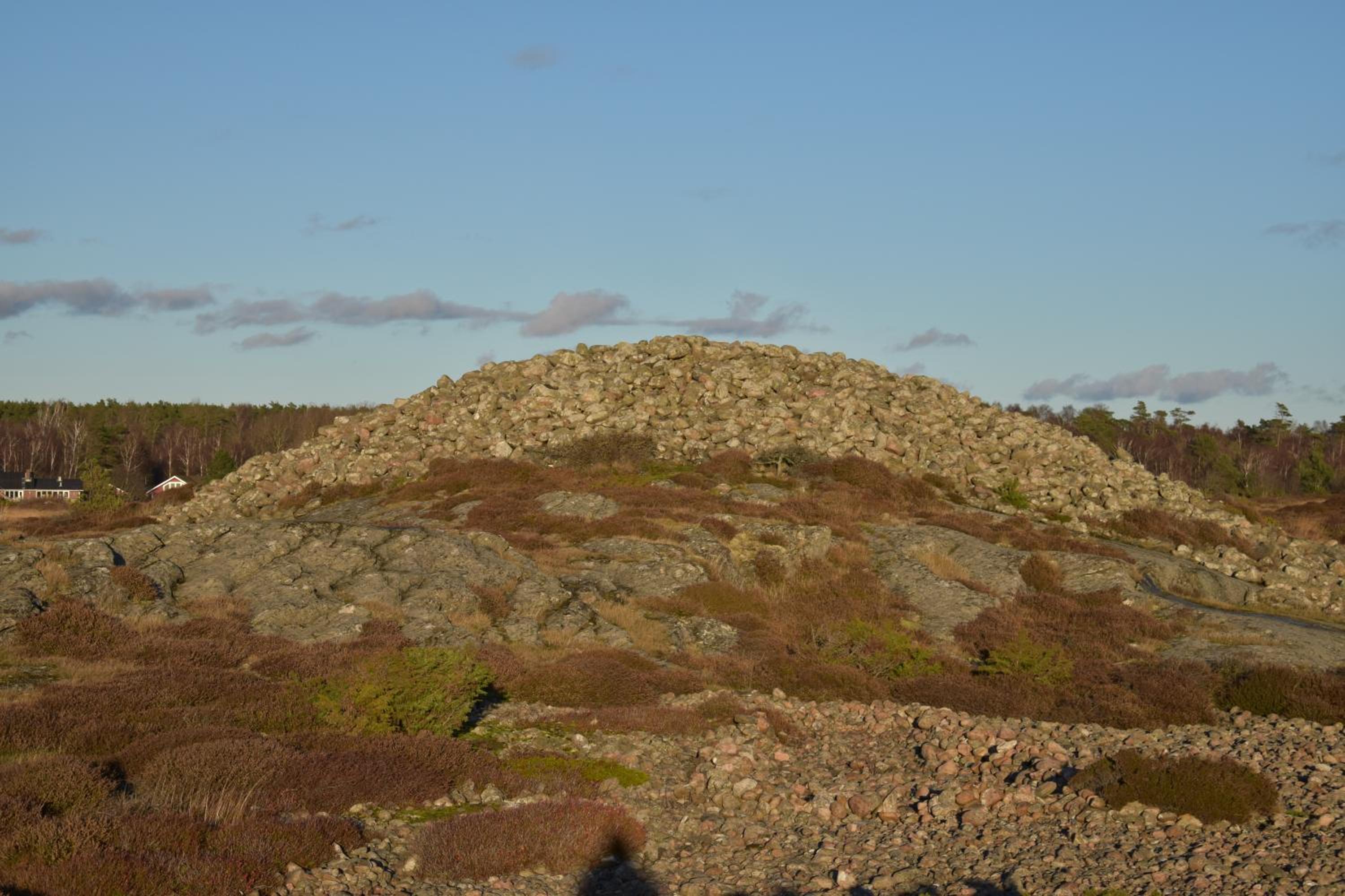 Åsa Jutegård