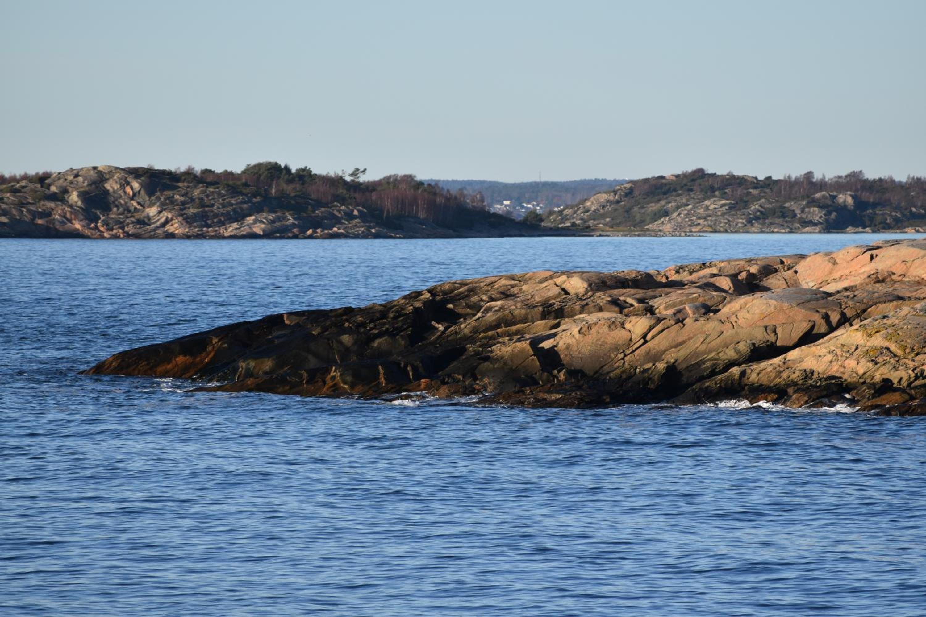 Åsa Jutegård