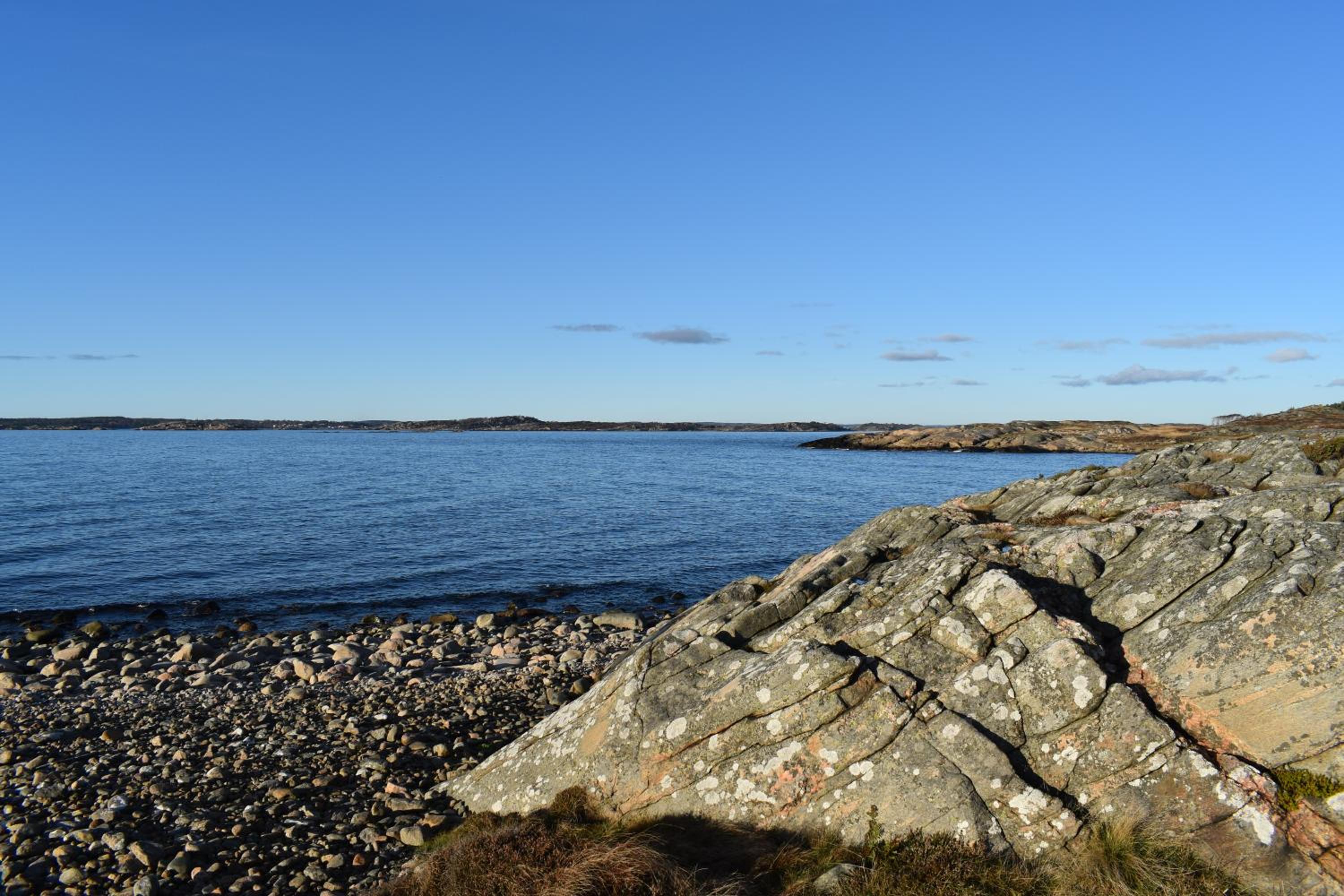 Åsa Jutegård
