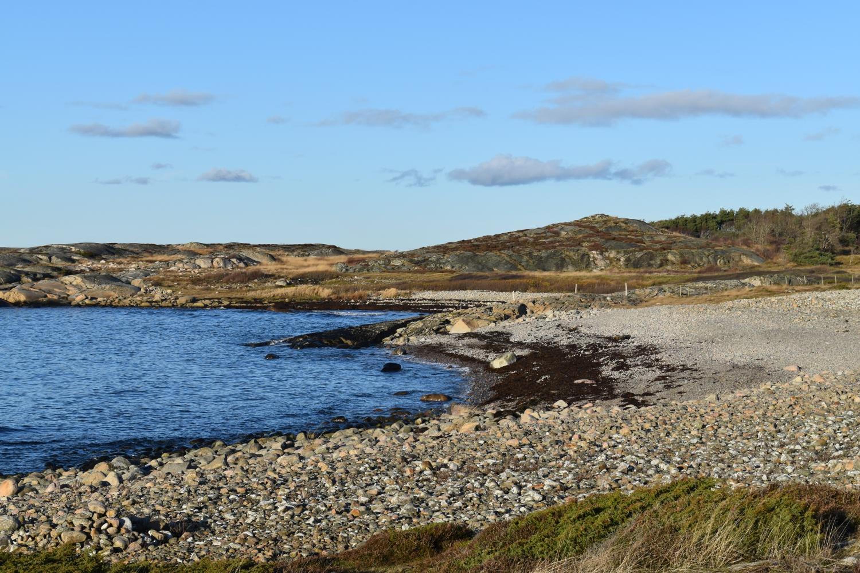 Åsa Jutegård