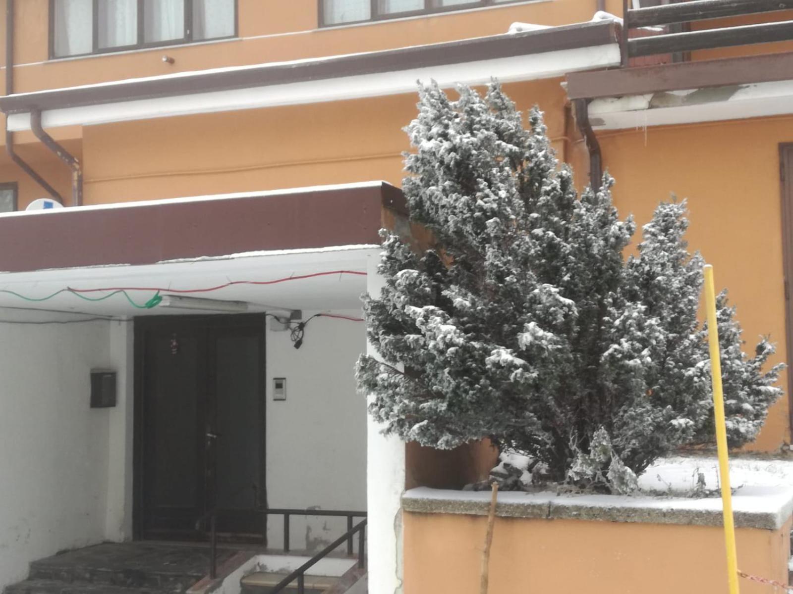 Guest Art Campitello Matese