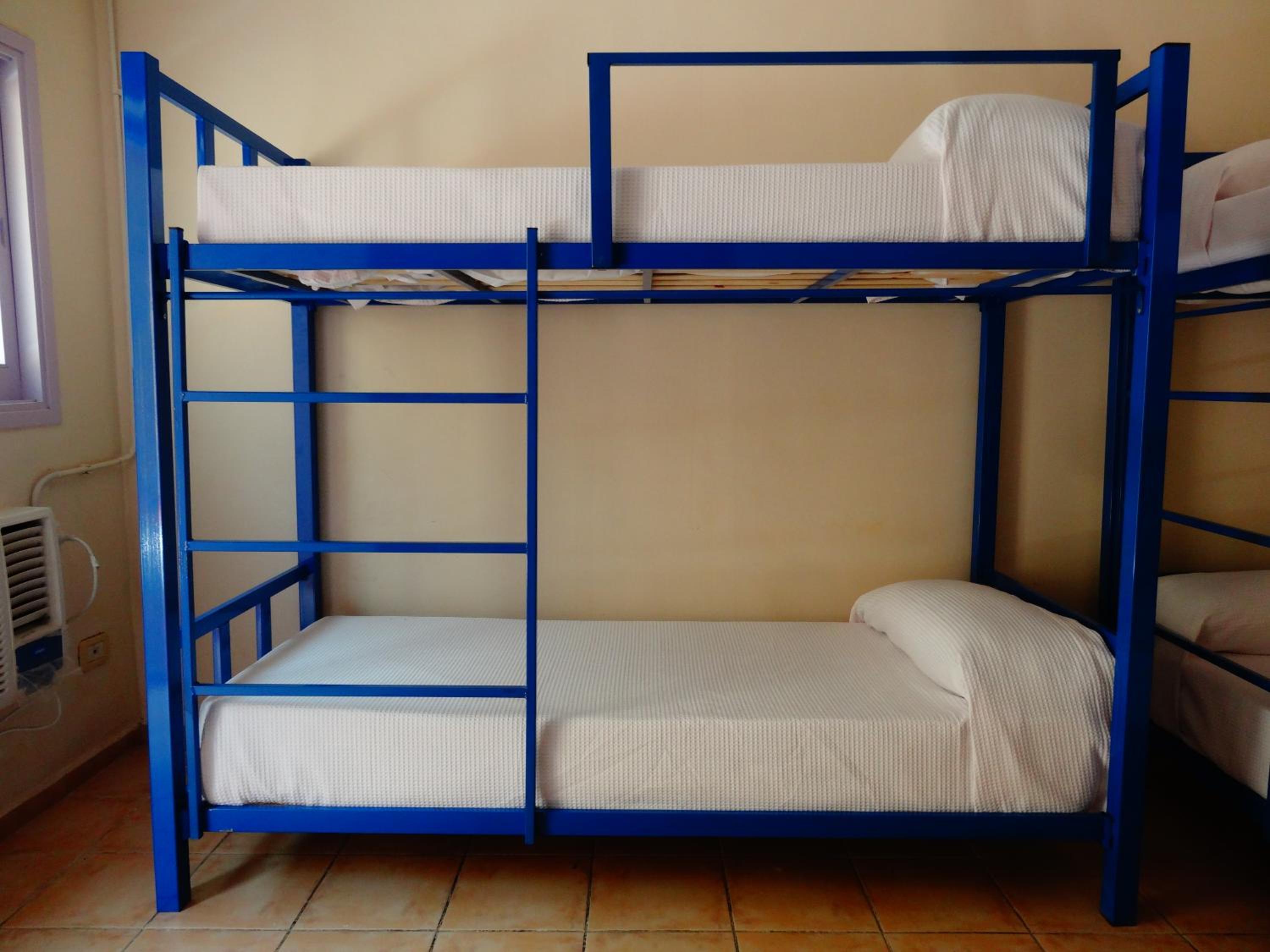 Black Sheep International Hostel