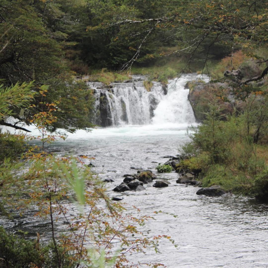 El Rincon de la Olguita