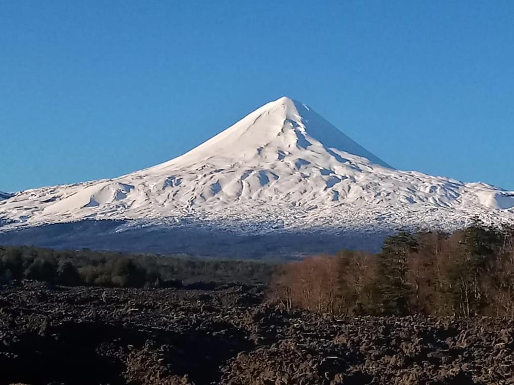El Rincon de la Olguita