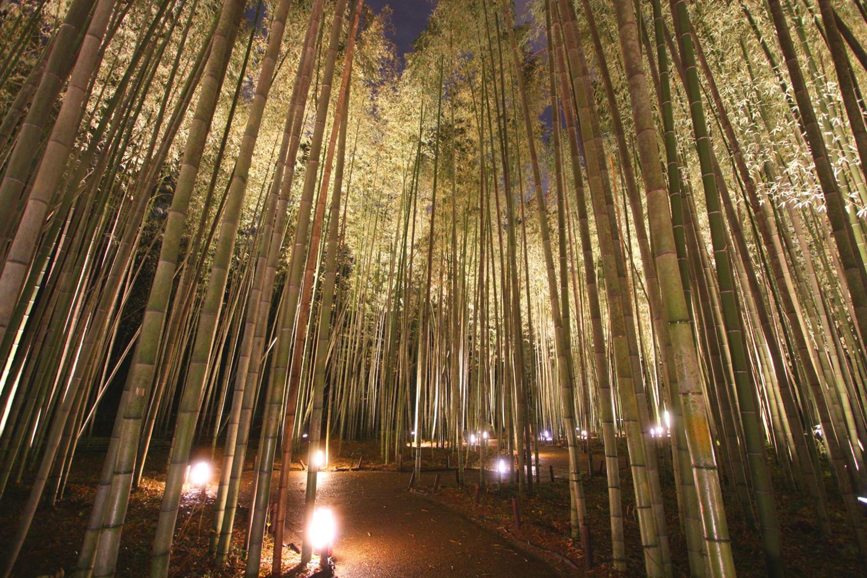 一棟貸切り宿 GuestHouse 嵯峨嵐山, photo 52