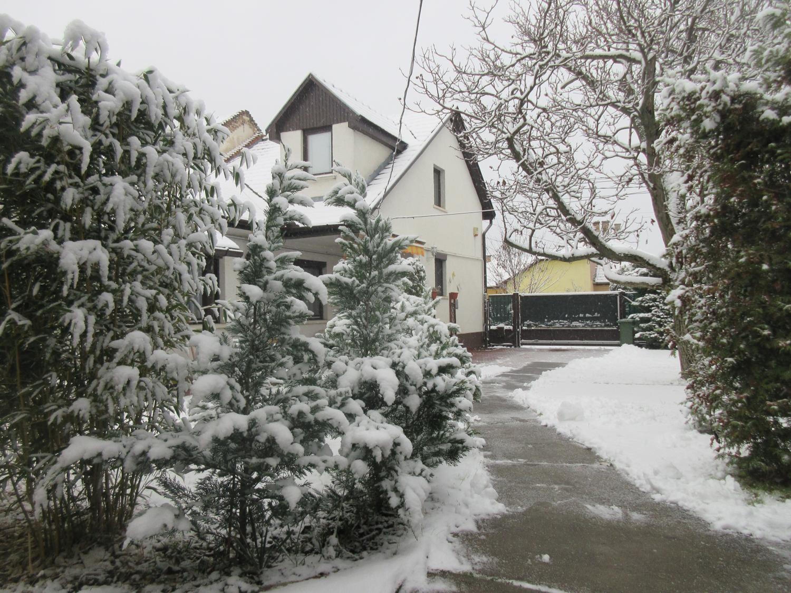 Sissi Residence with free parking lot view 4