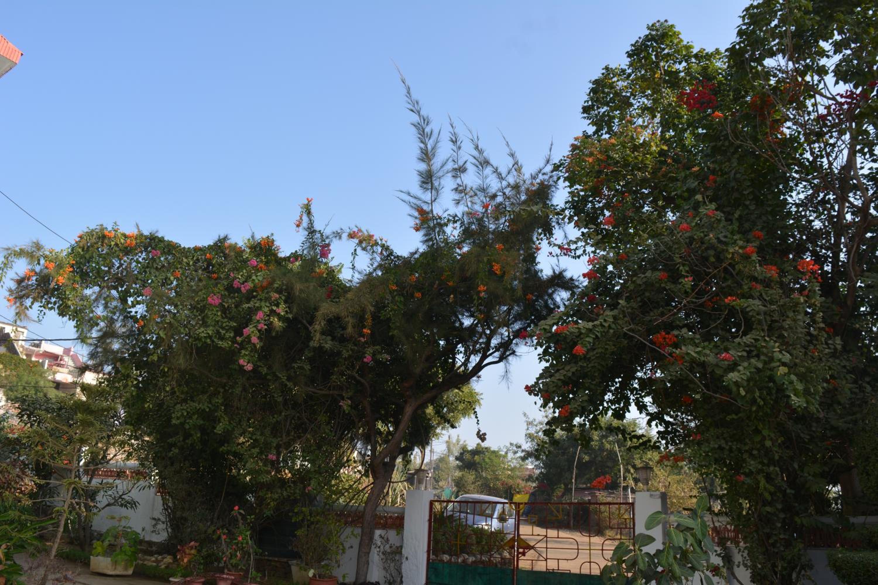 Photo 11