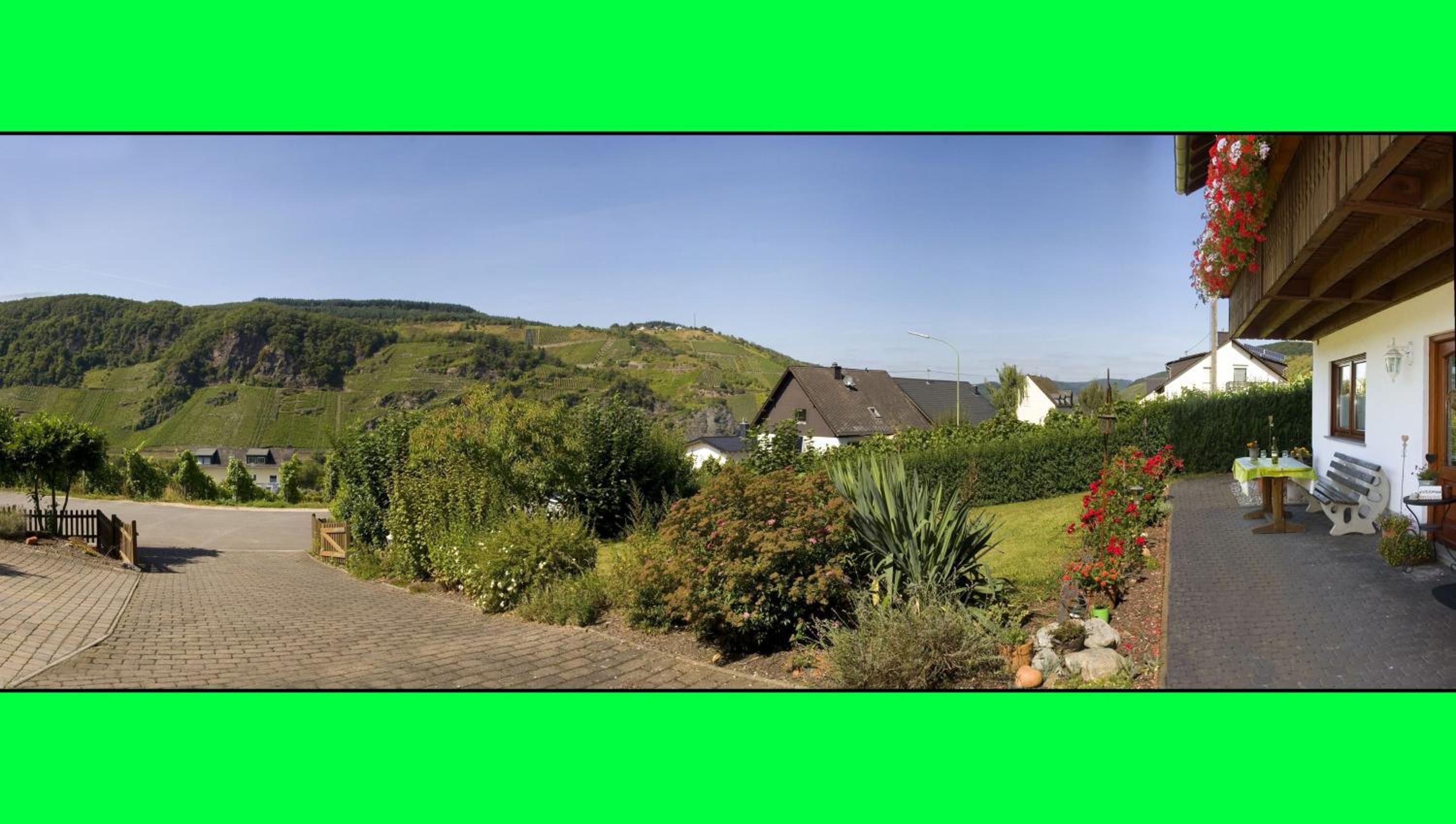 Weingut Hirschen Enkircherweg view 3