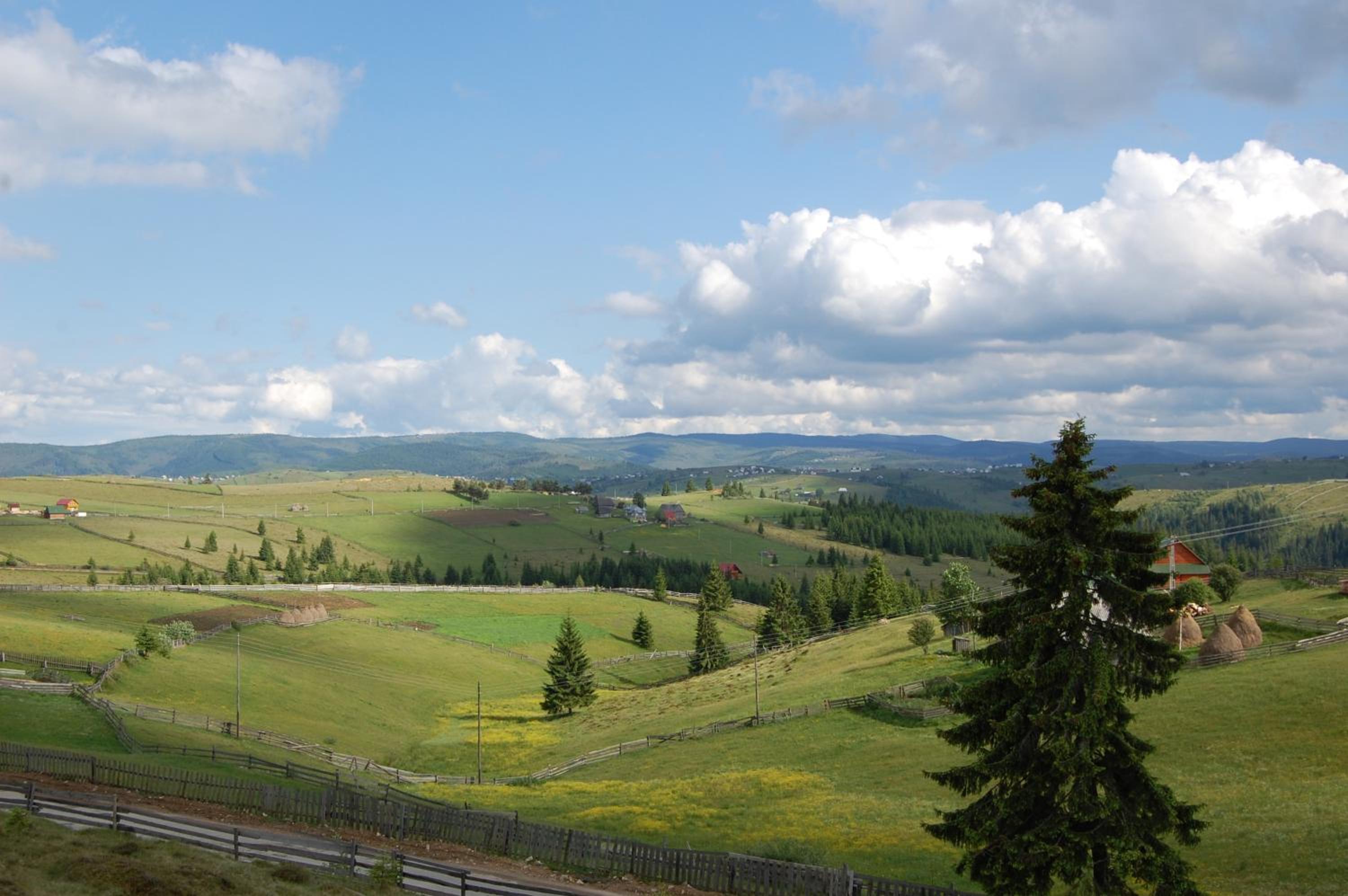 Cabana Moţilor view 3