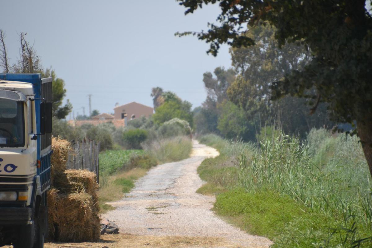Finca Milagro photo 2