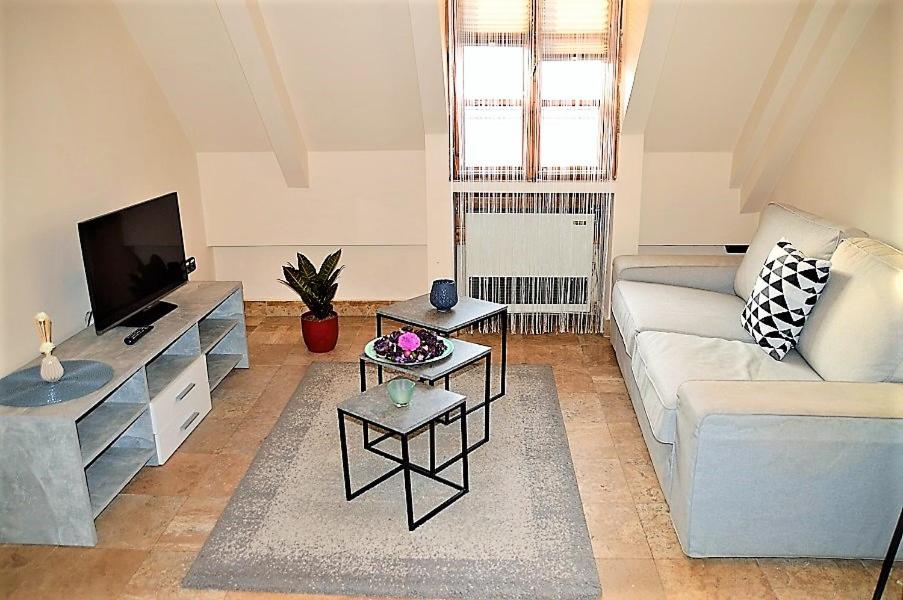 Downtown Apartments Superior view 3