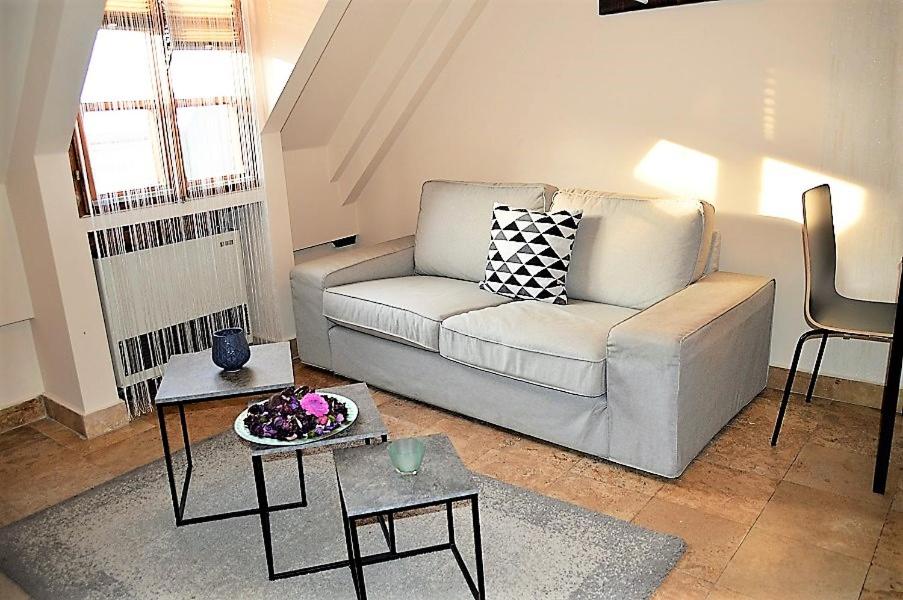 Downtown Apartments Superior view 5