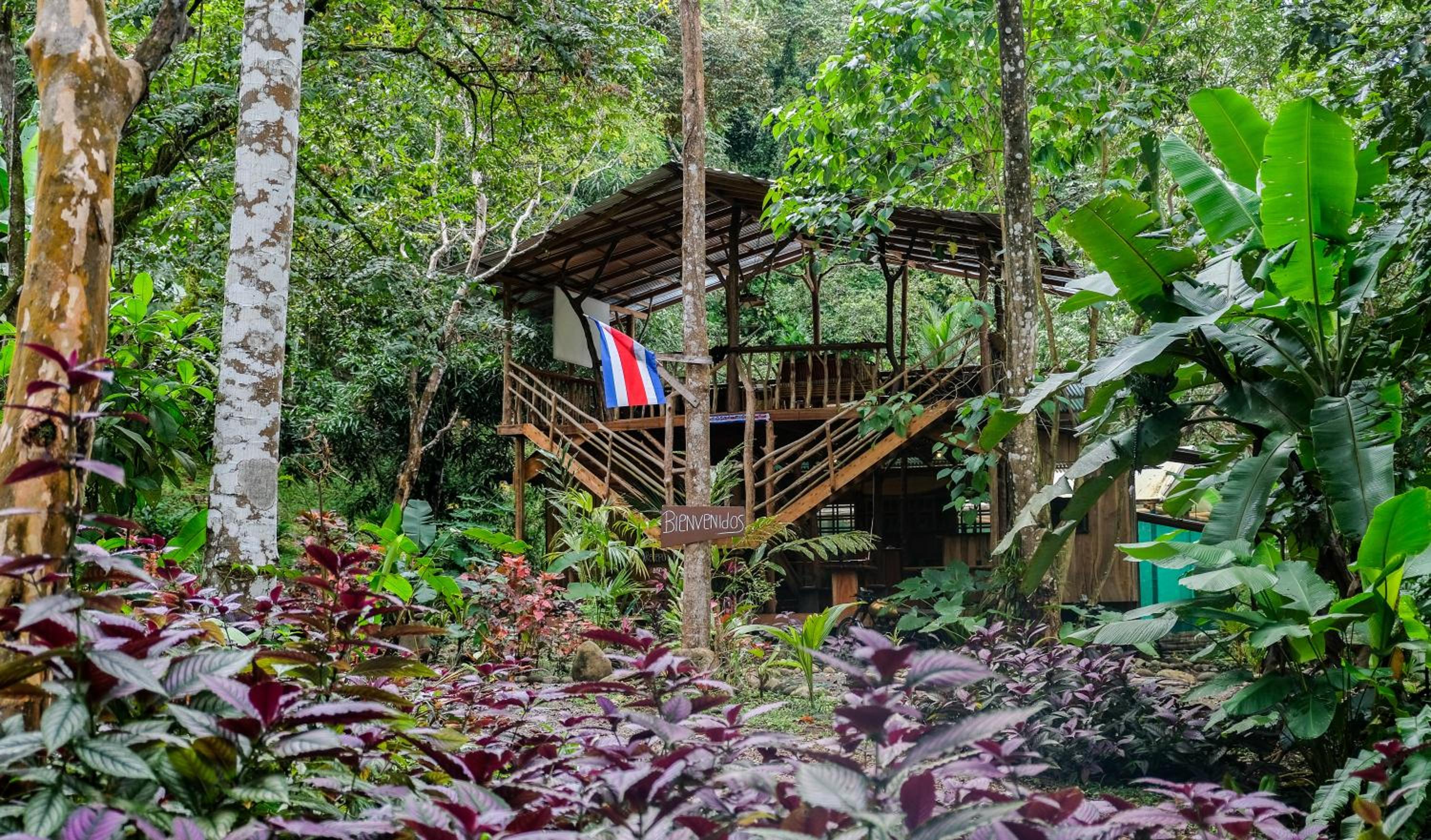 Cascada Elysiana