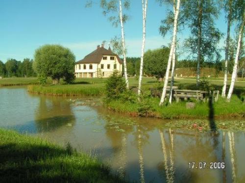 Photo 46