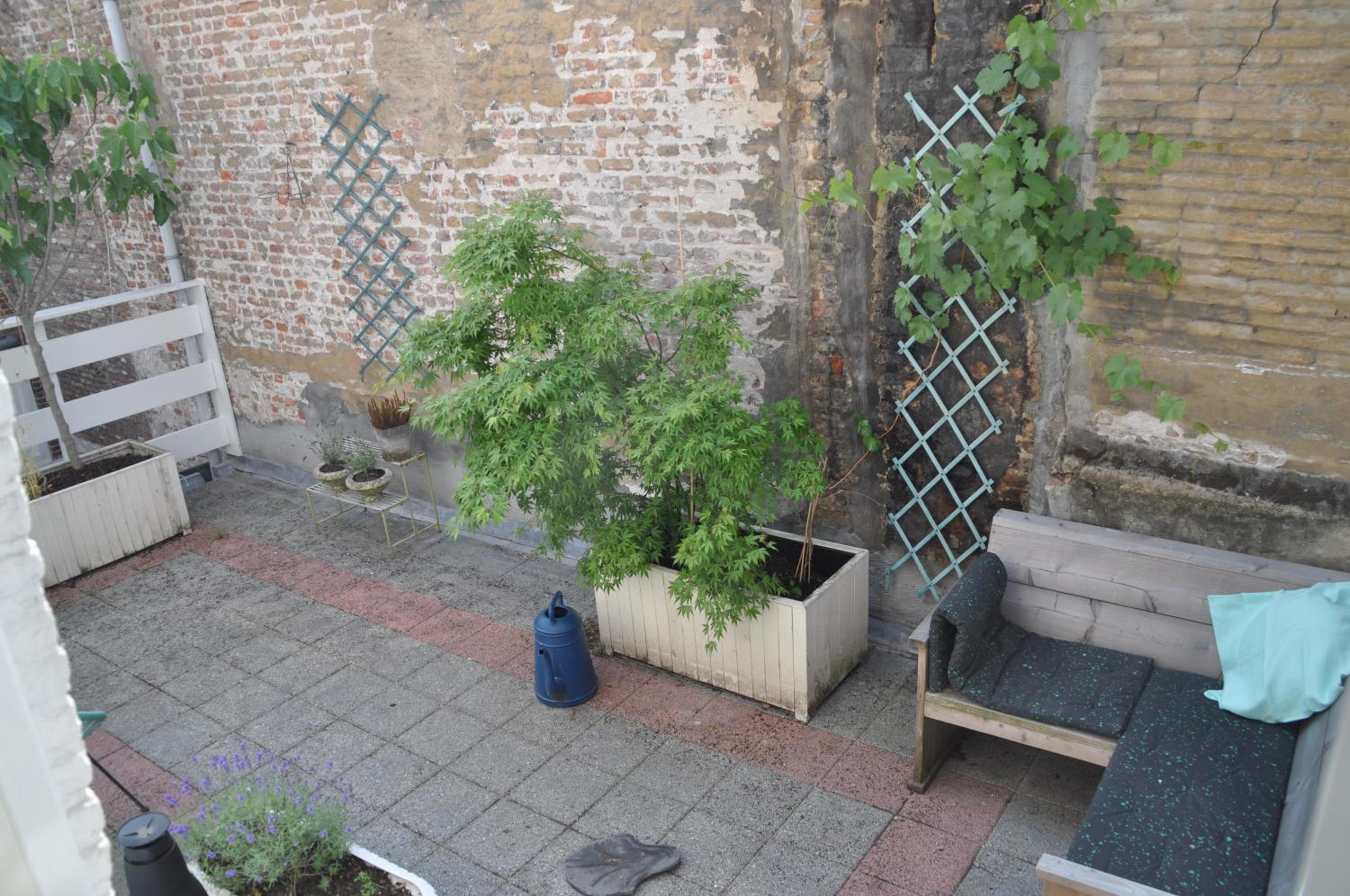 De Theetap, photo 18