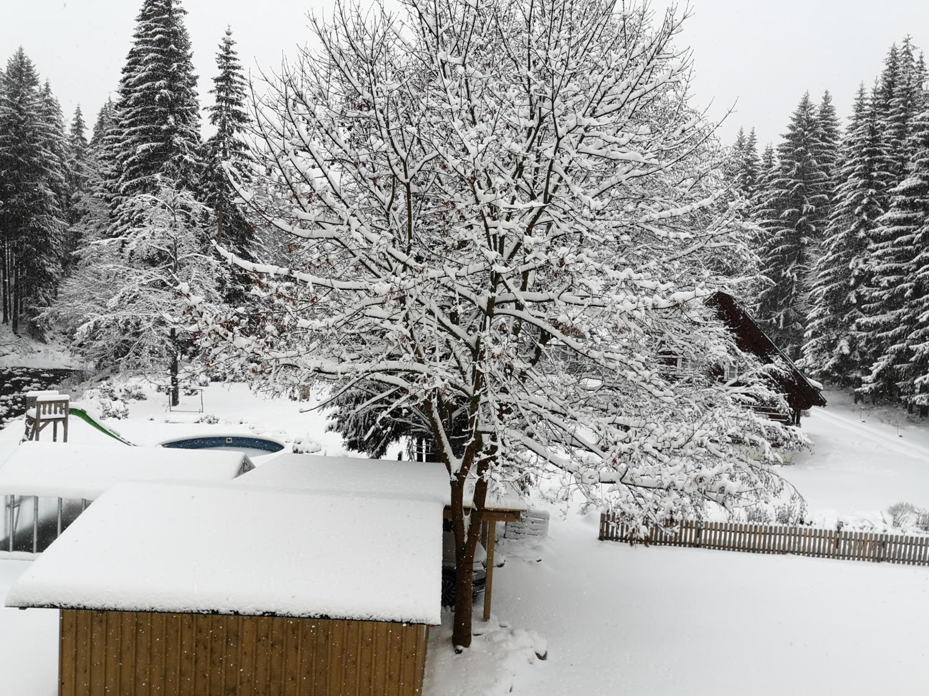 Photo 132