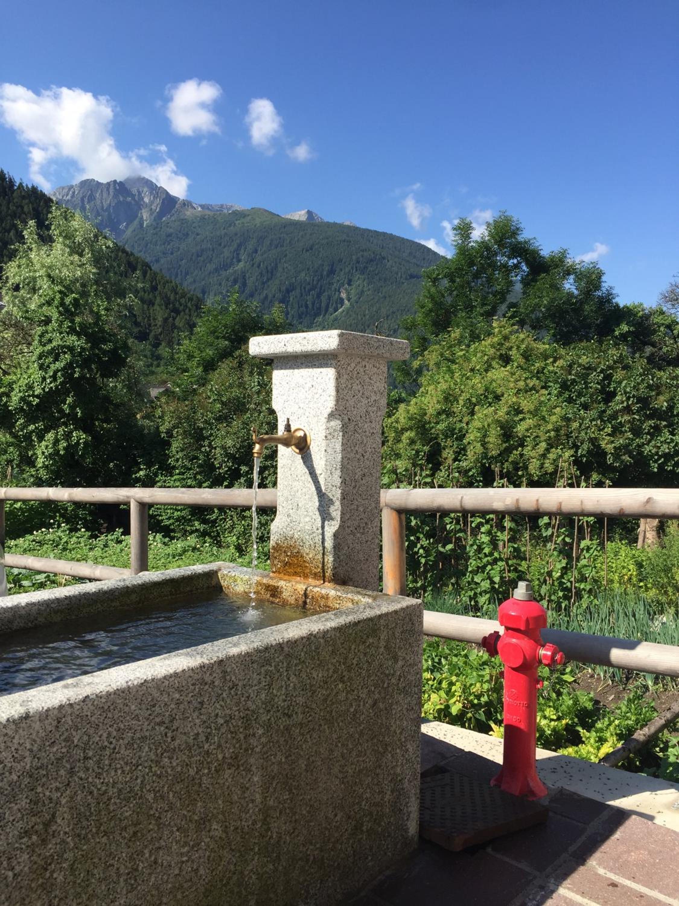 Photo 17