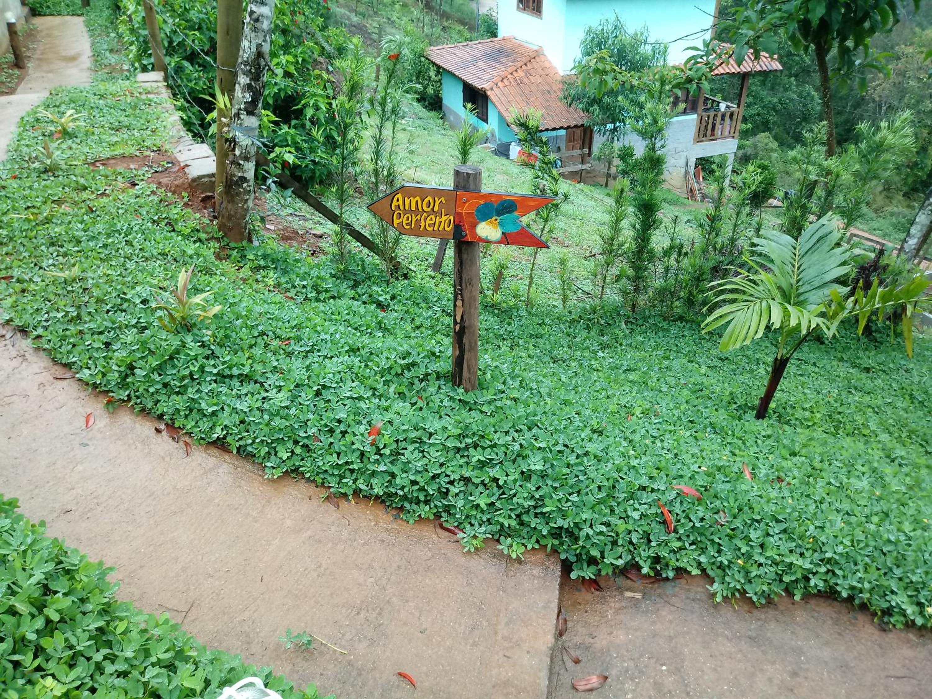 Photo 46
