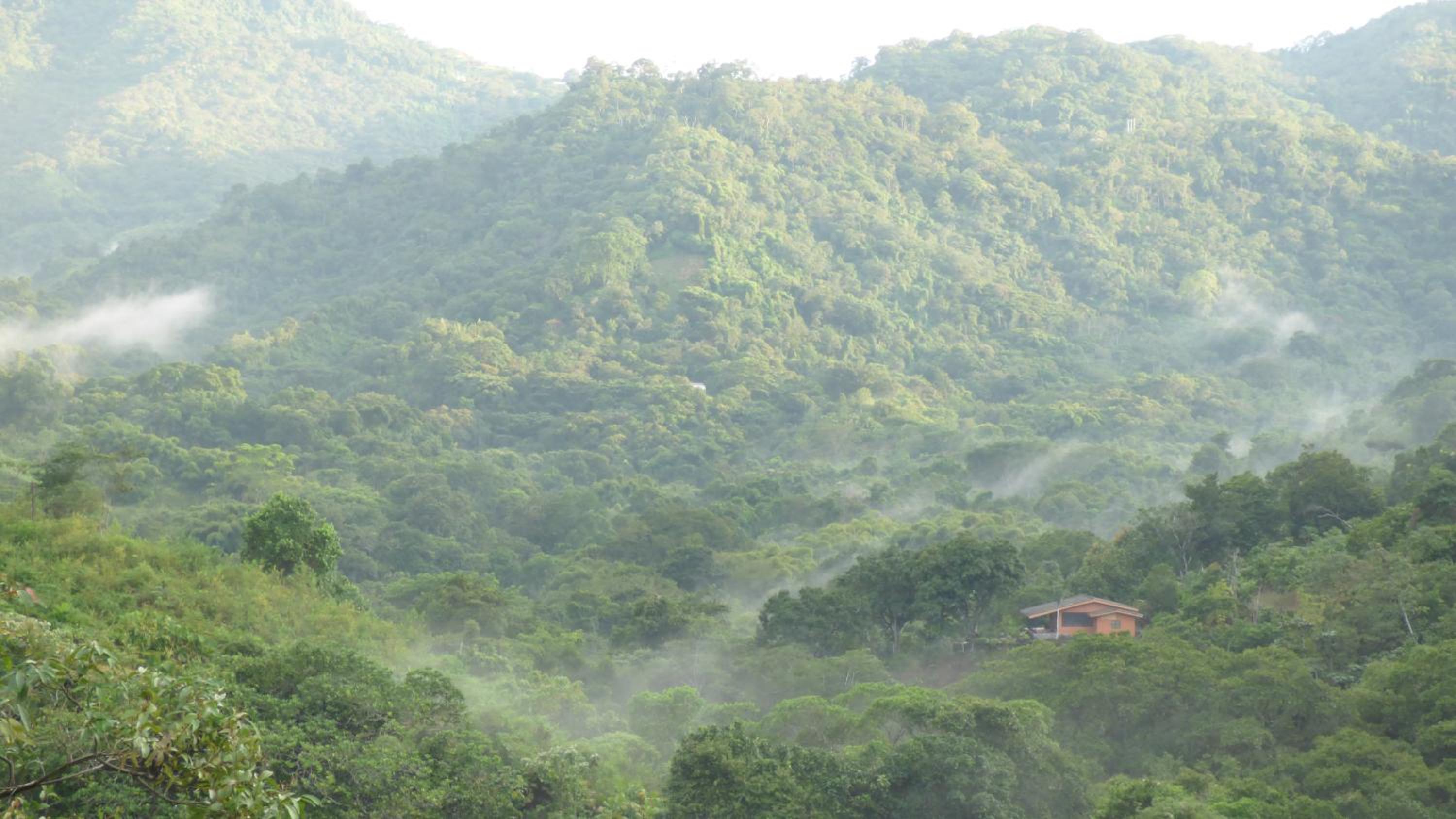Hostal Alto de la Montaña