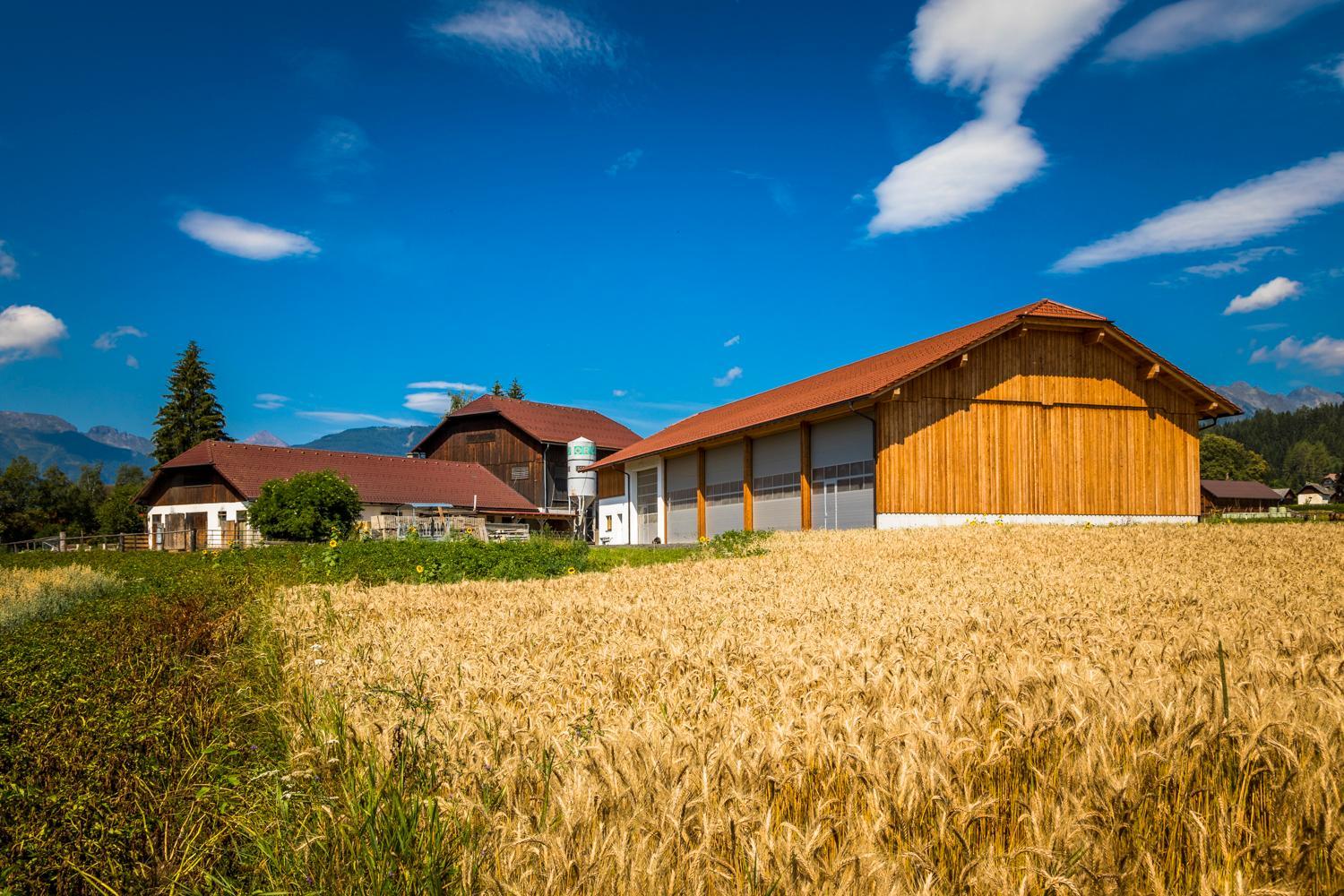 Bio Bauernhof Schoberhof