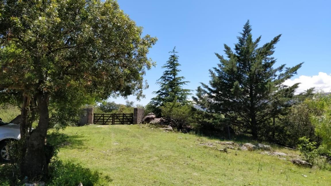 Cabaña de Troncos en la montaña