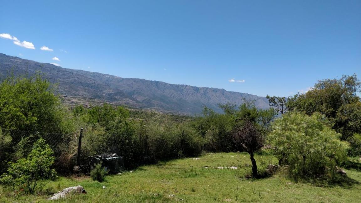 Cabaña de Troncos en la montaña