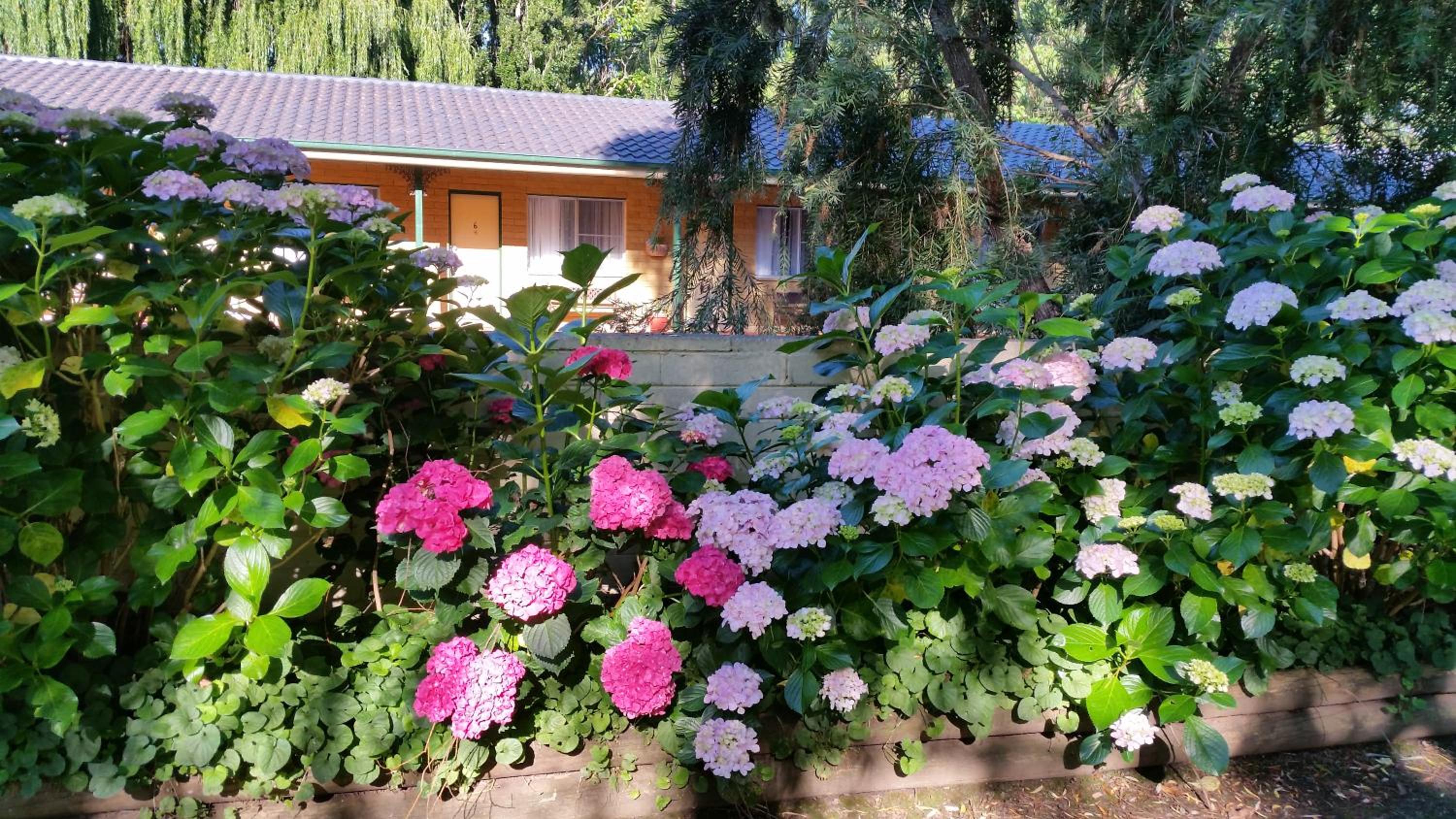 Moruya Motel