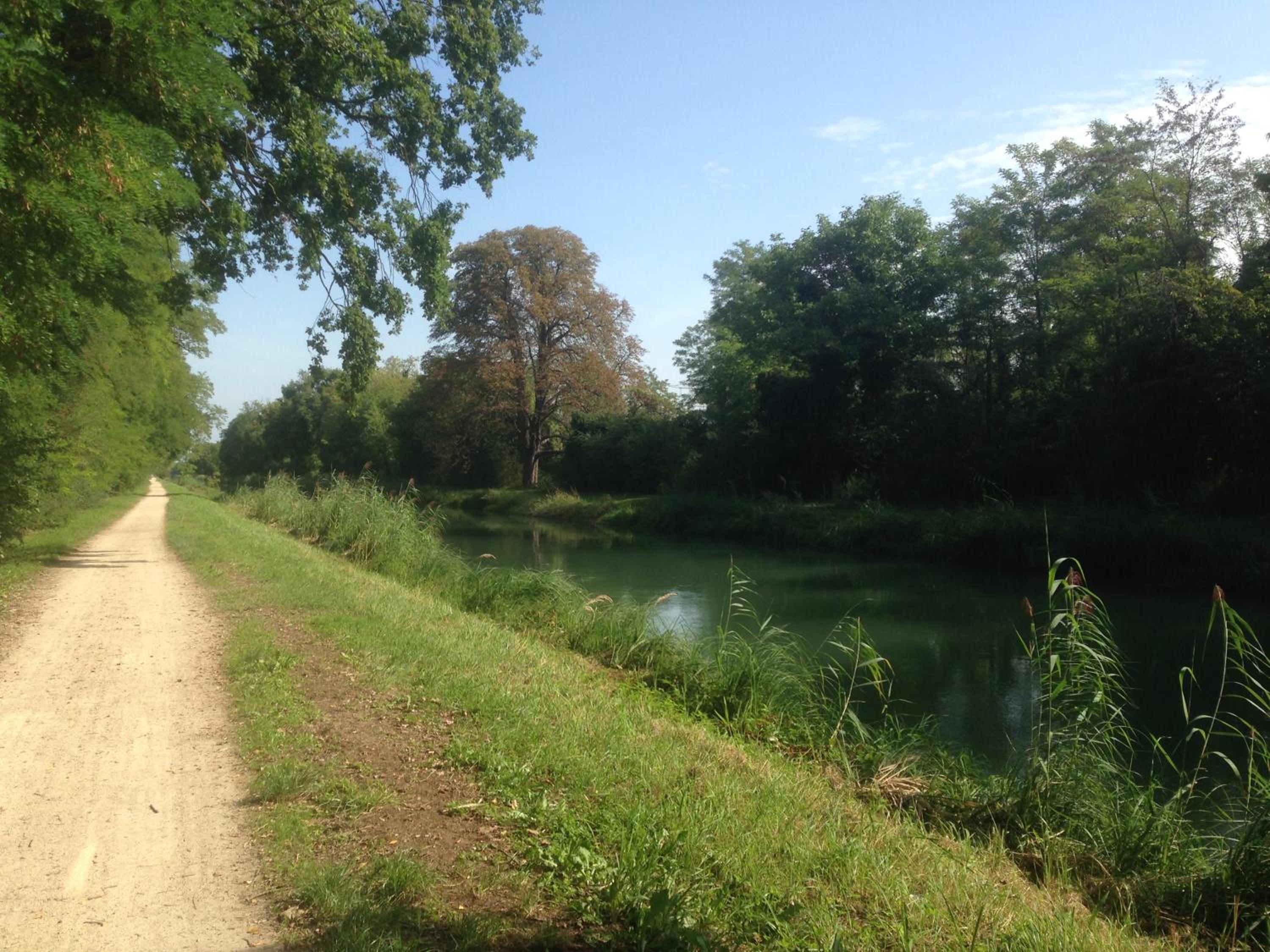 Photo 28