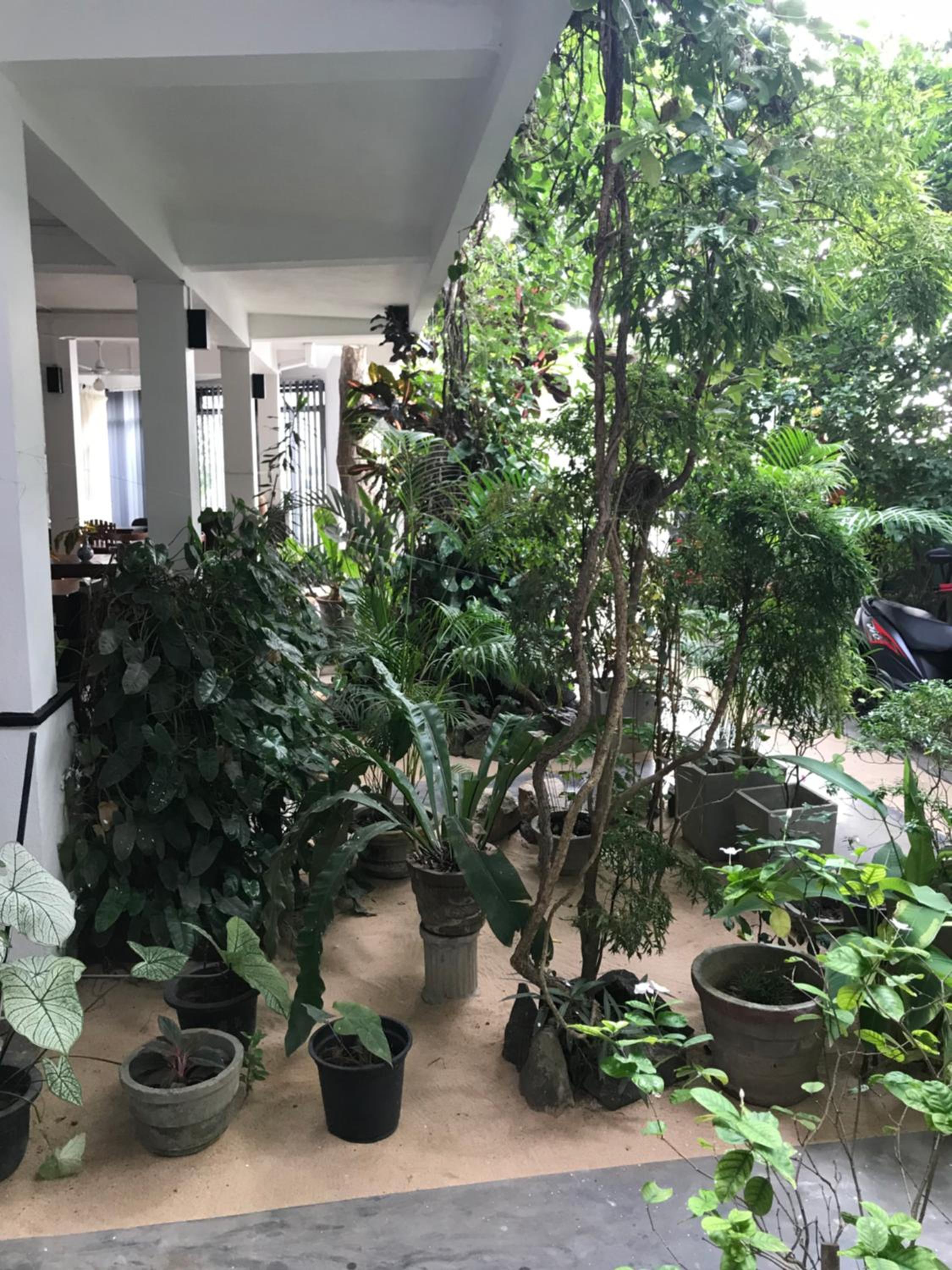 Photo 18