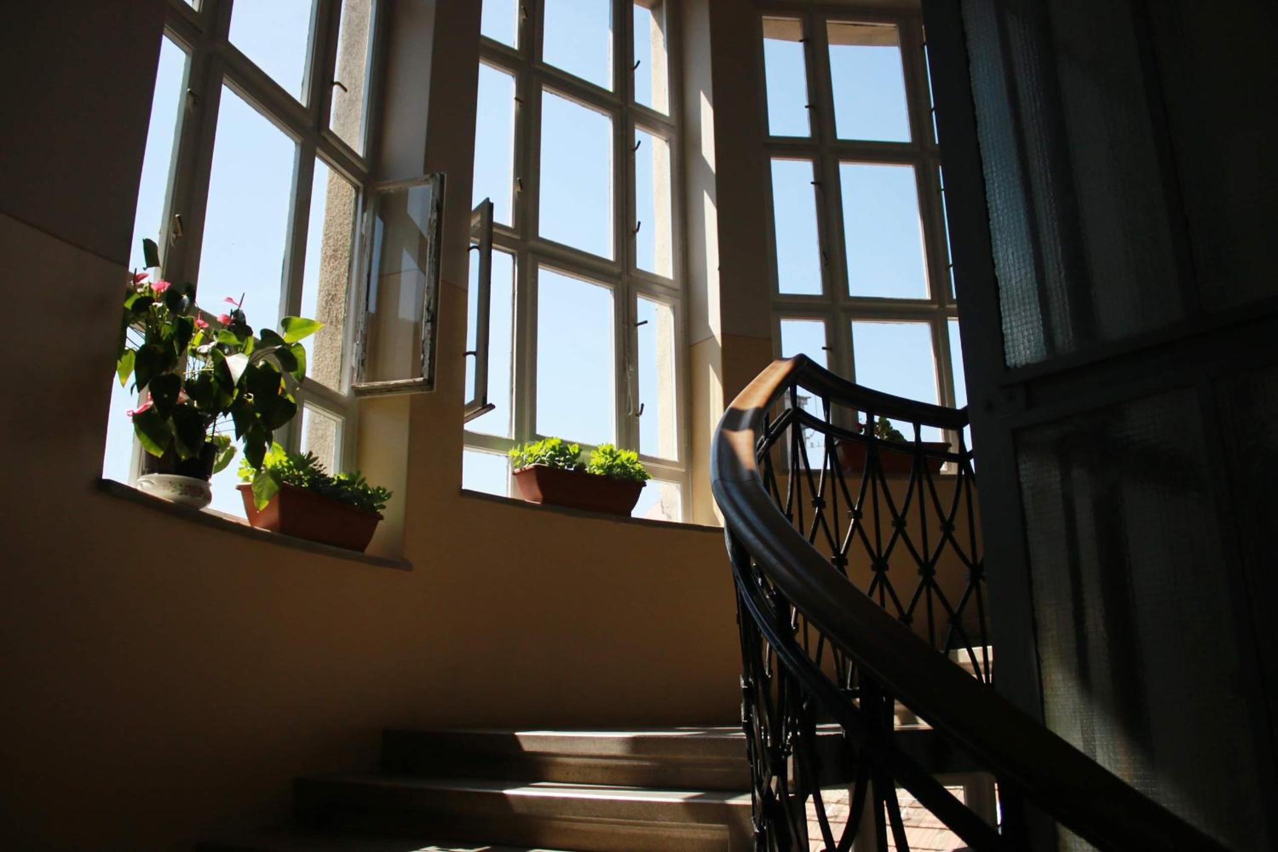 Panorama apartment