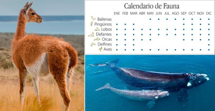 A la meseta