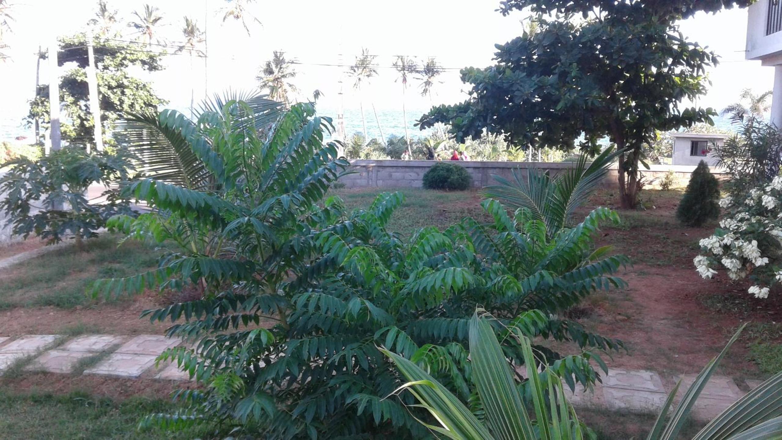 Photo 20