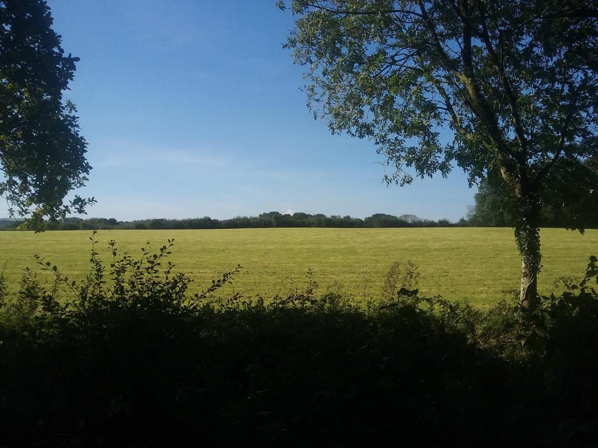 Caban Cwtch view 4