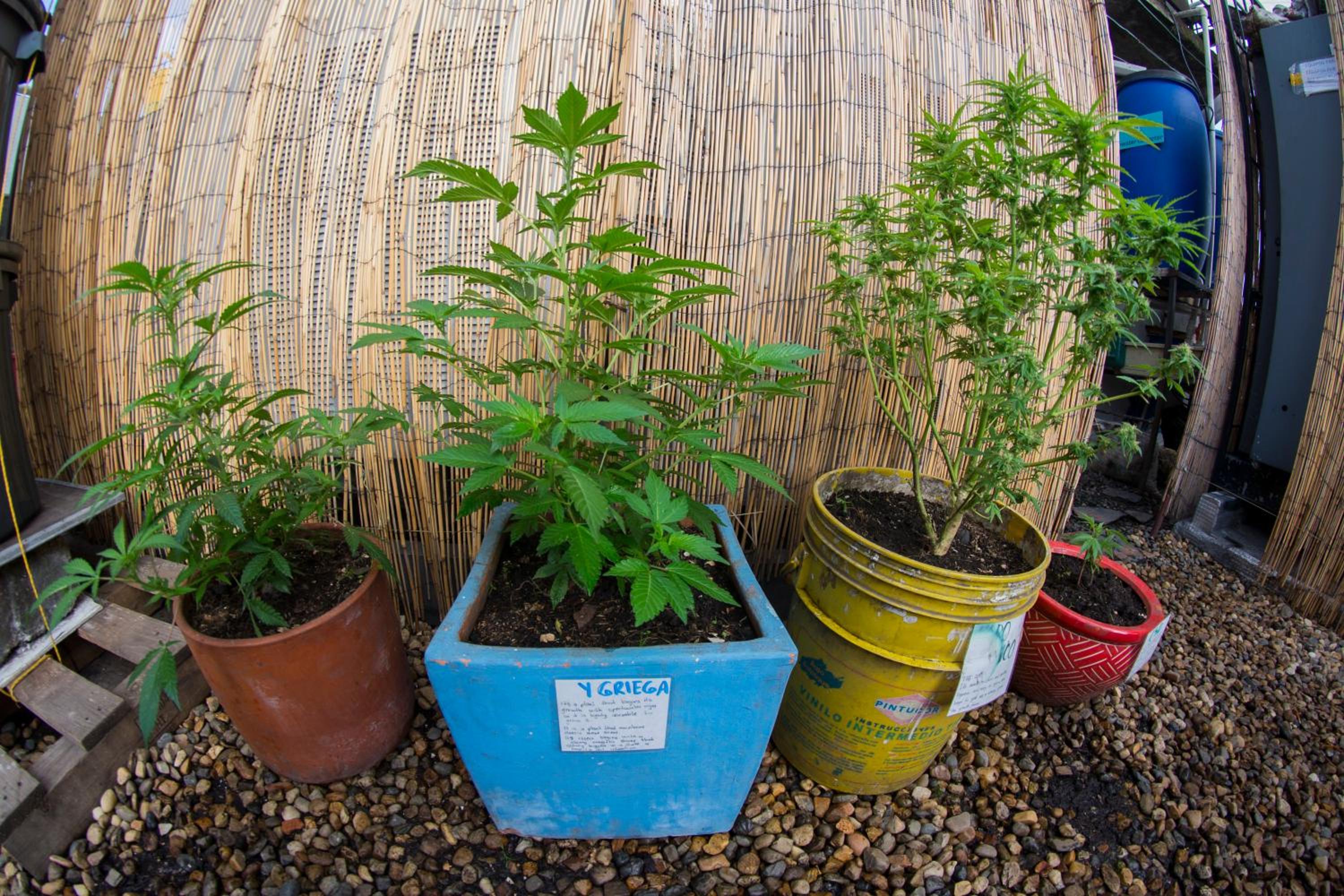 Mandala Yoga Hostel - Property Image 7