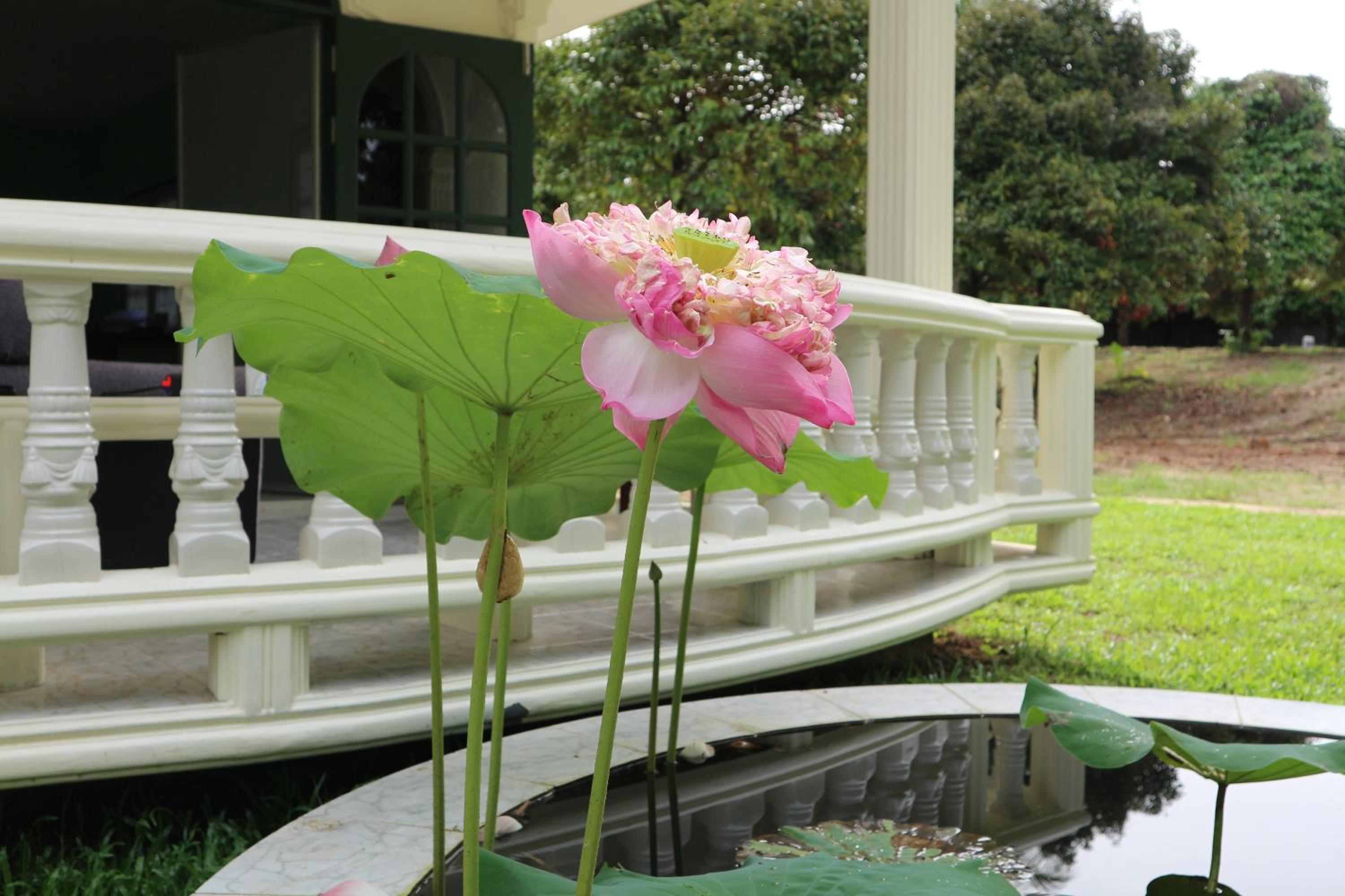 Bann Mangkud Khaolak