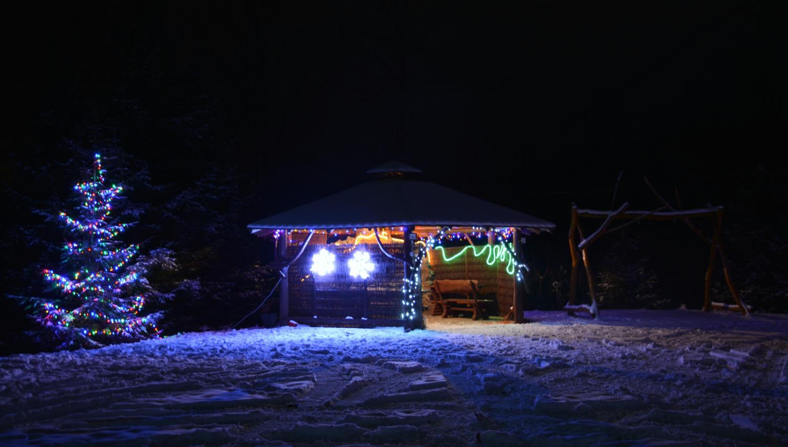 Photo 16