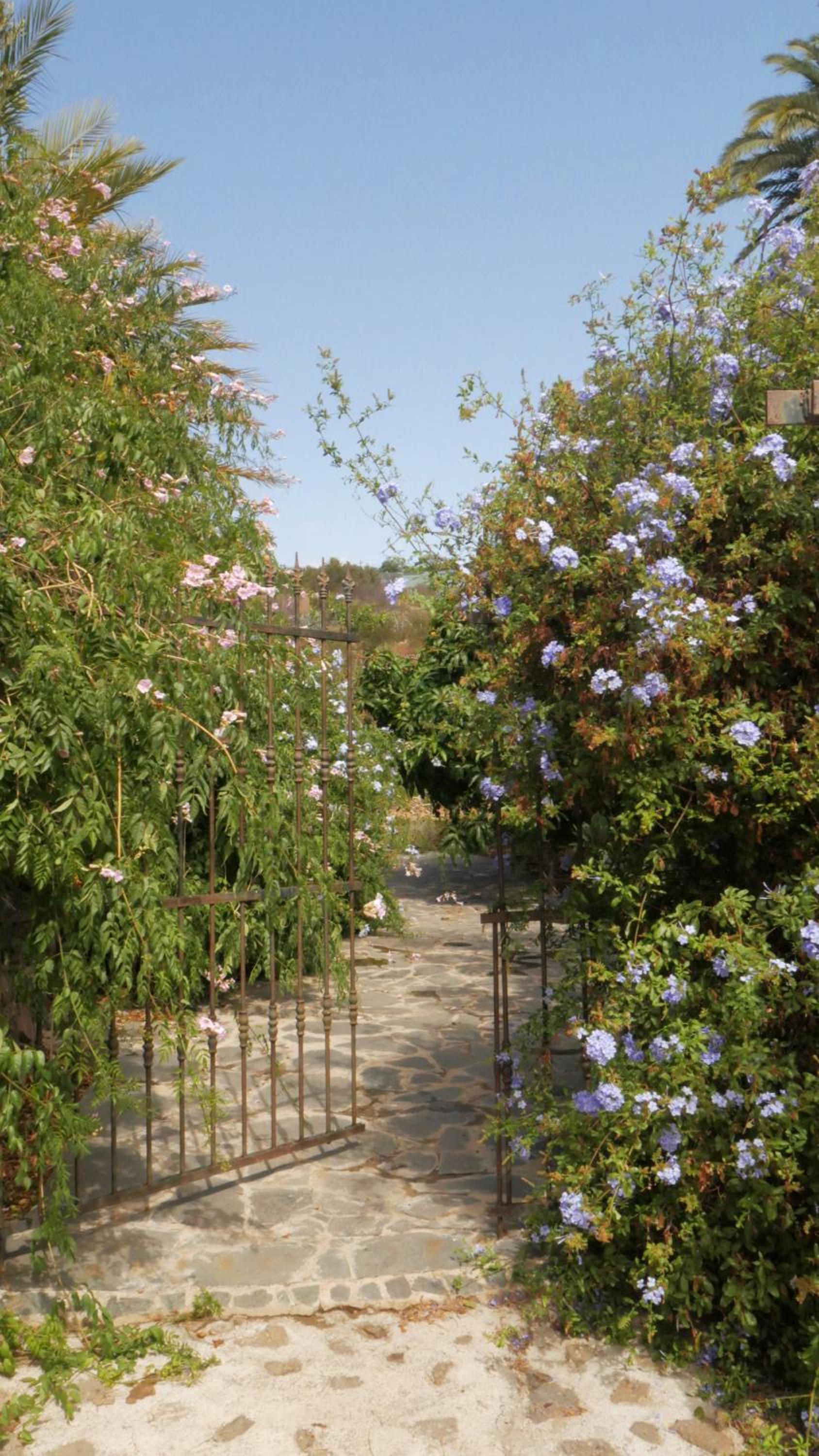 Photo 24