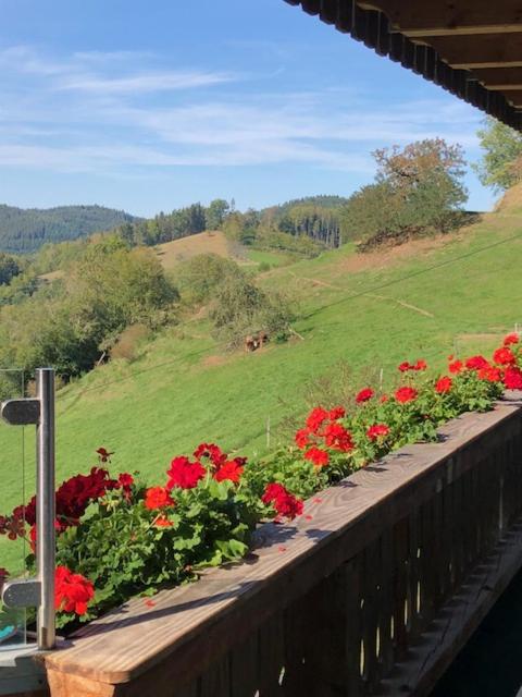 Ferienwohnung HOF view 4
