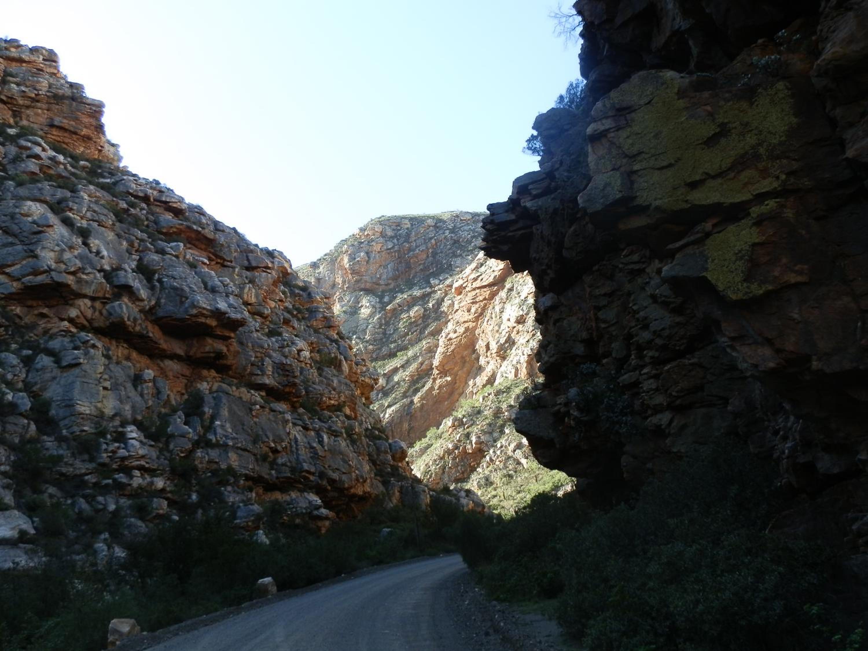 Photo 45
