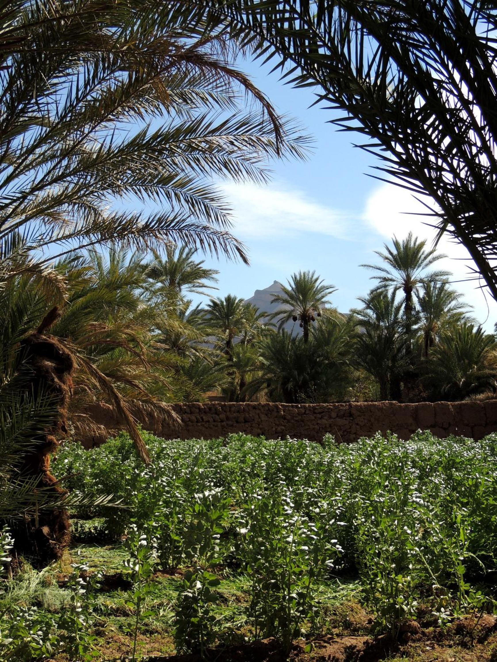 Dar Qamar view 4