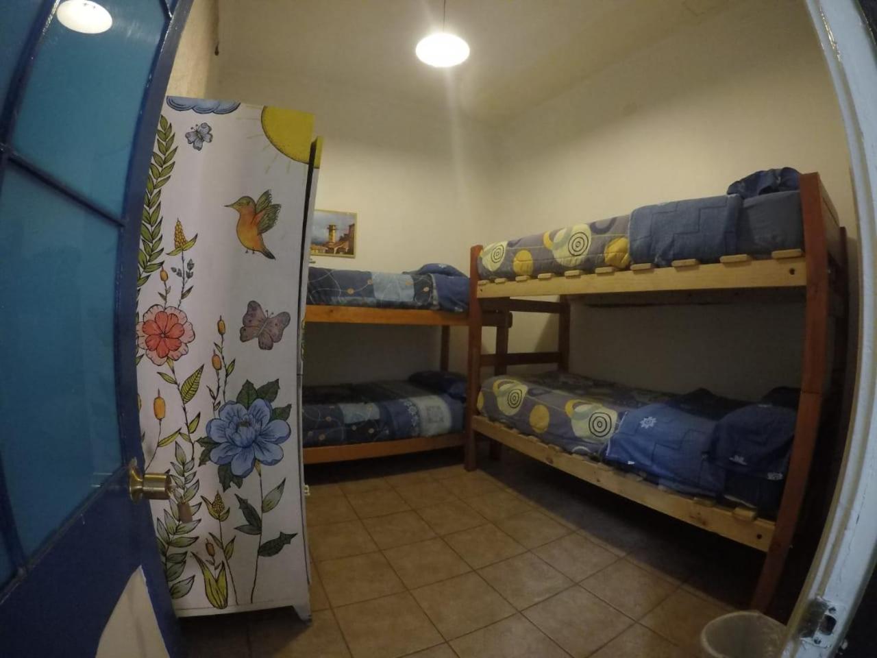 Lemuria Hostel