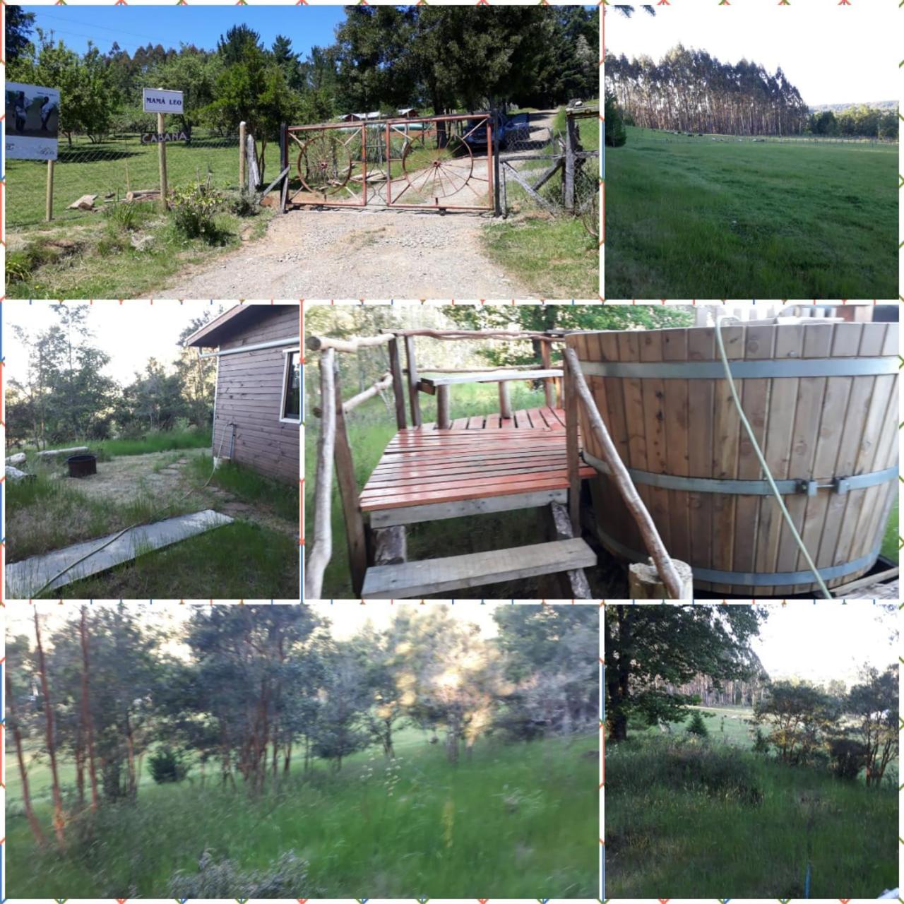 Los Encinos de Chancoyan