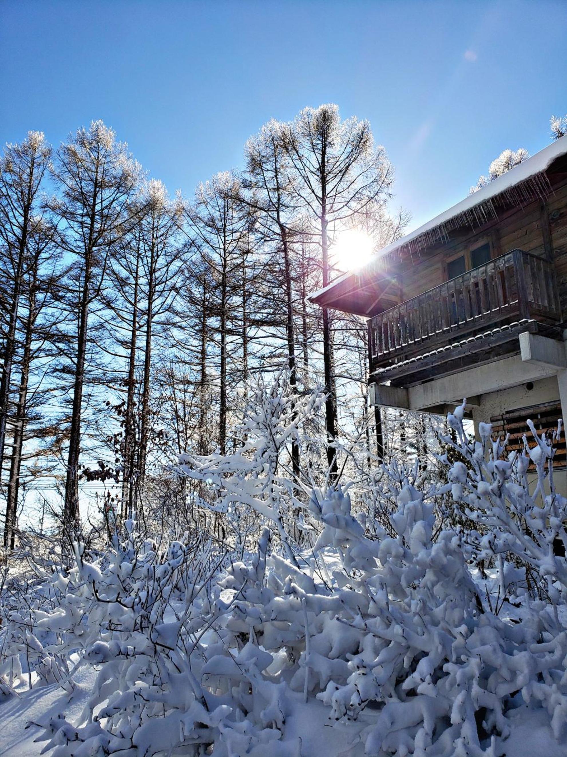 First Tracks Madarao