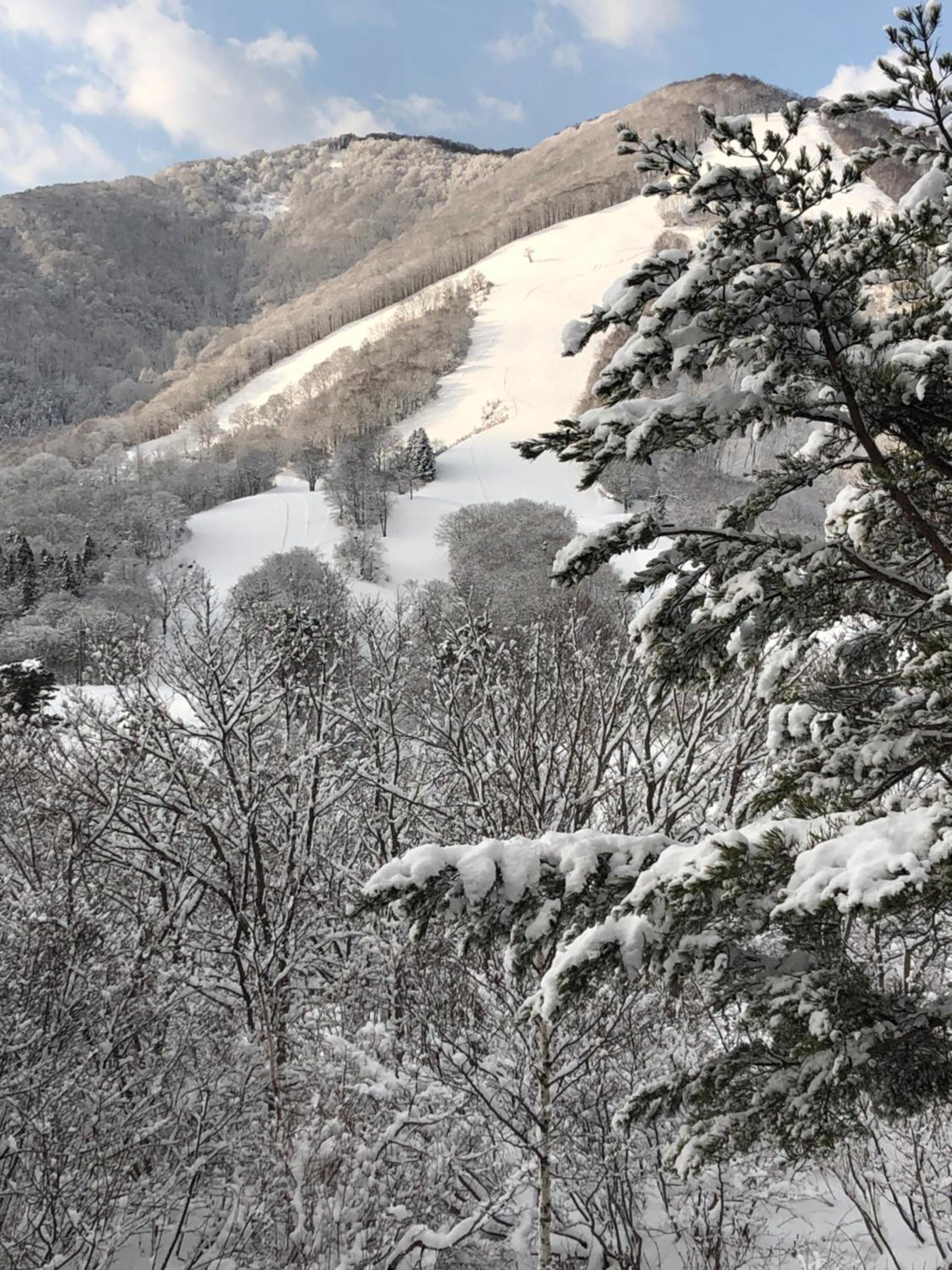 First Tracks Madarao