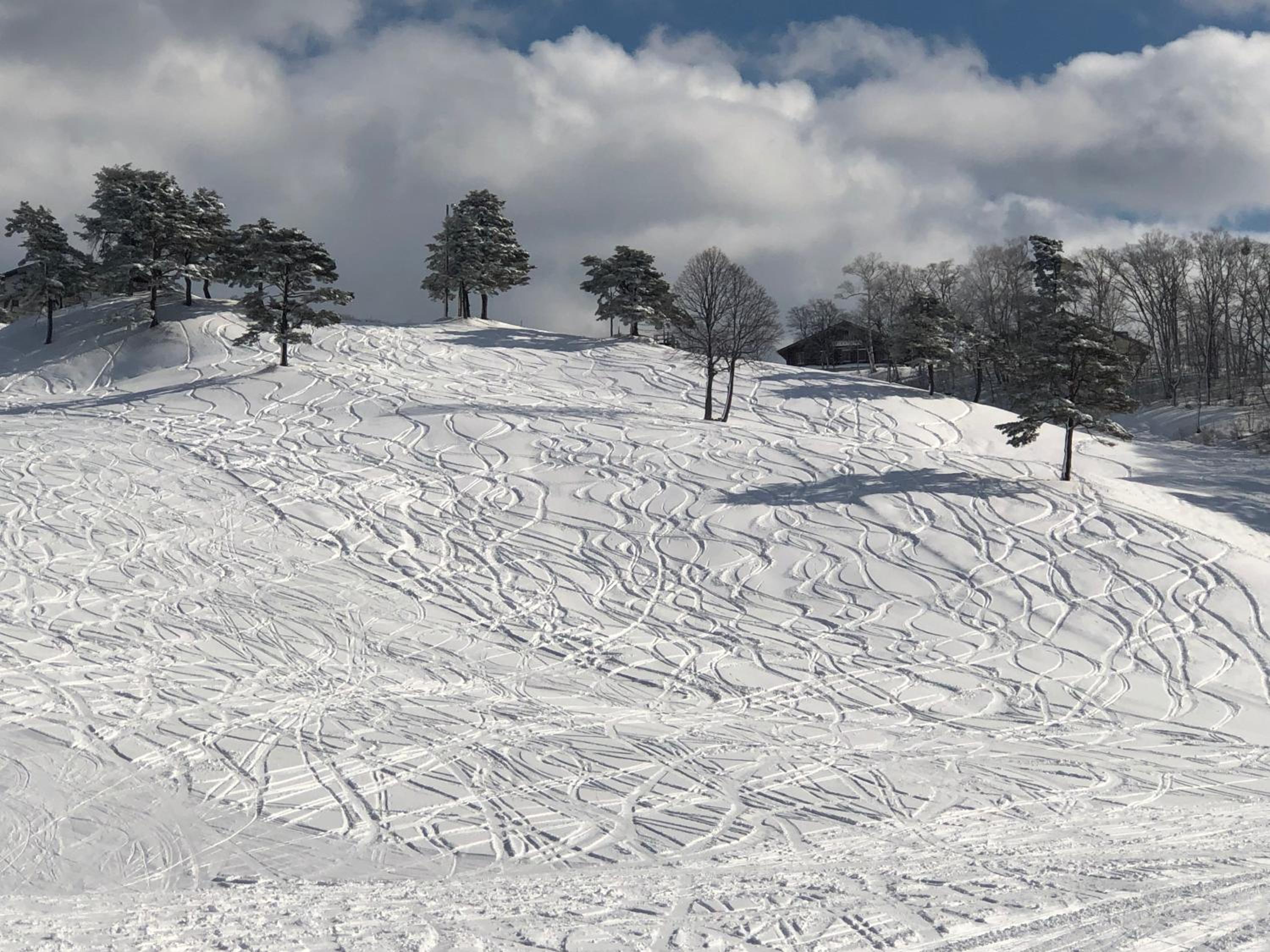 First Tracks Madarao