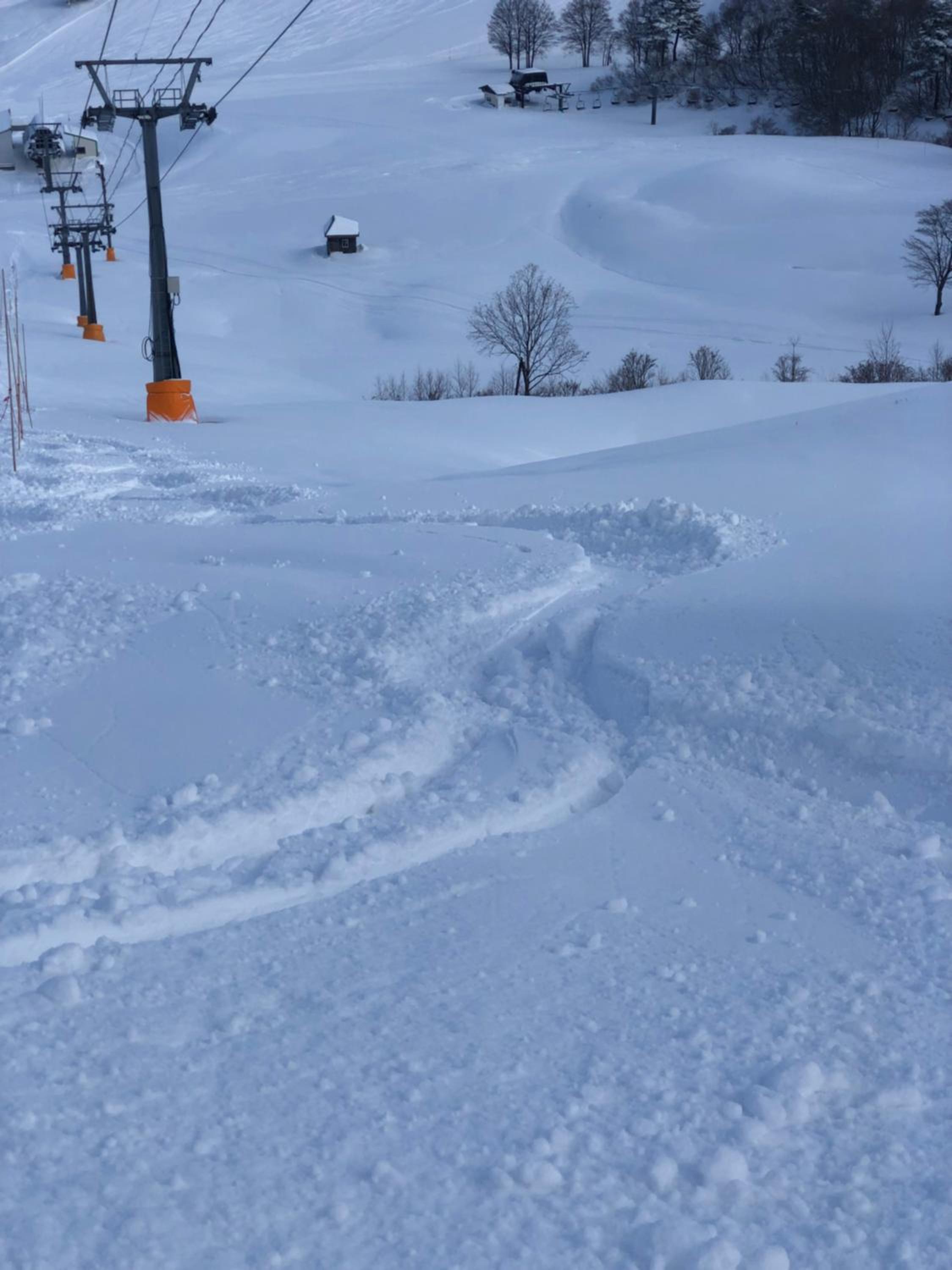 First Tracks Madarao