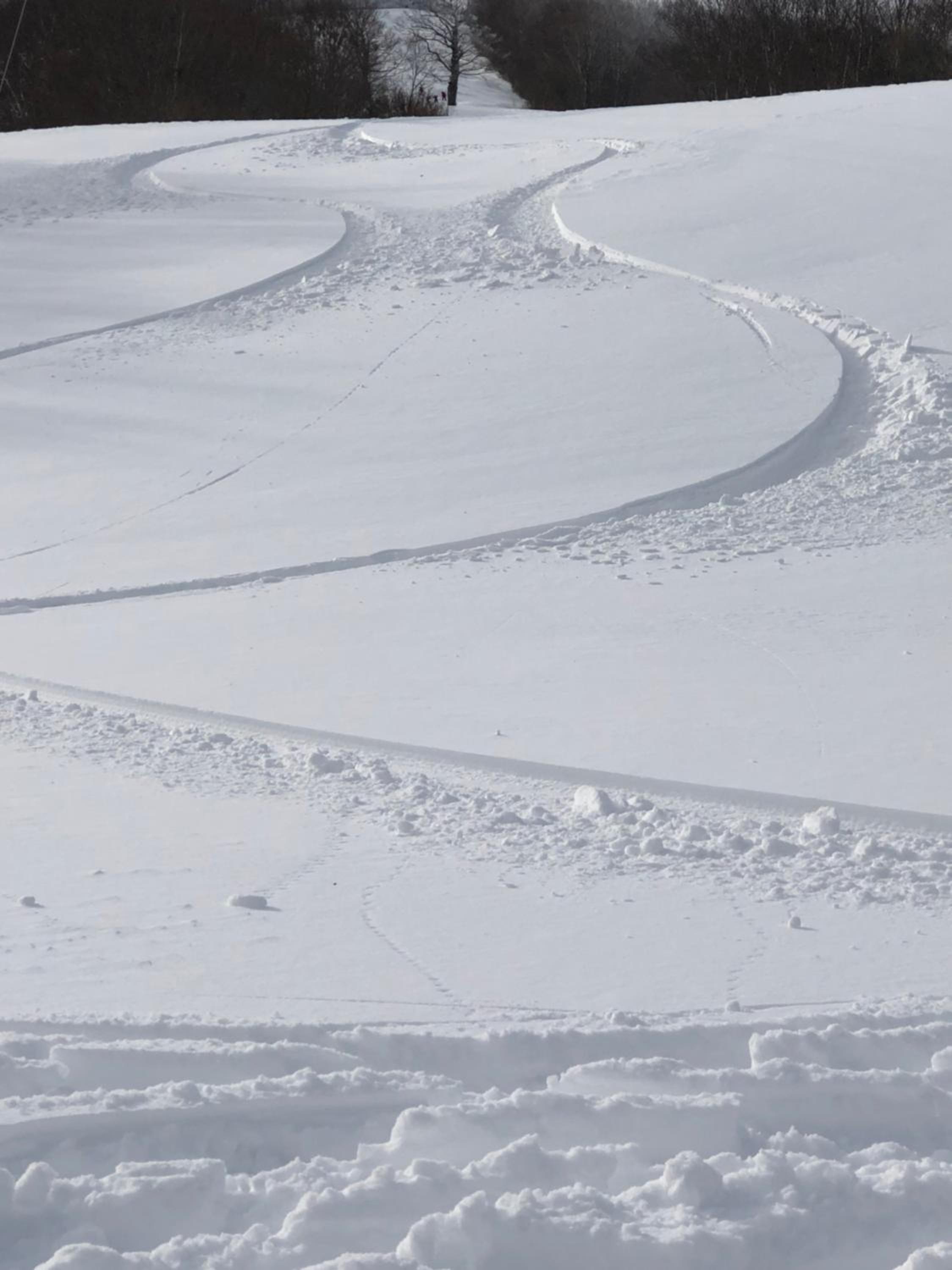 First Tracks Madarao
