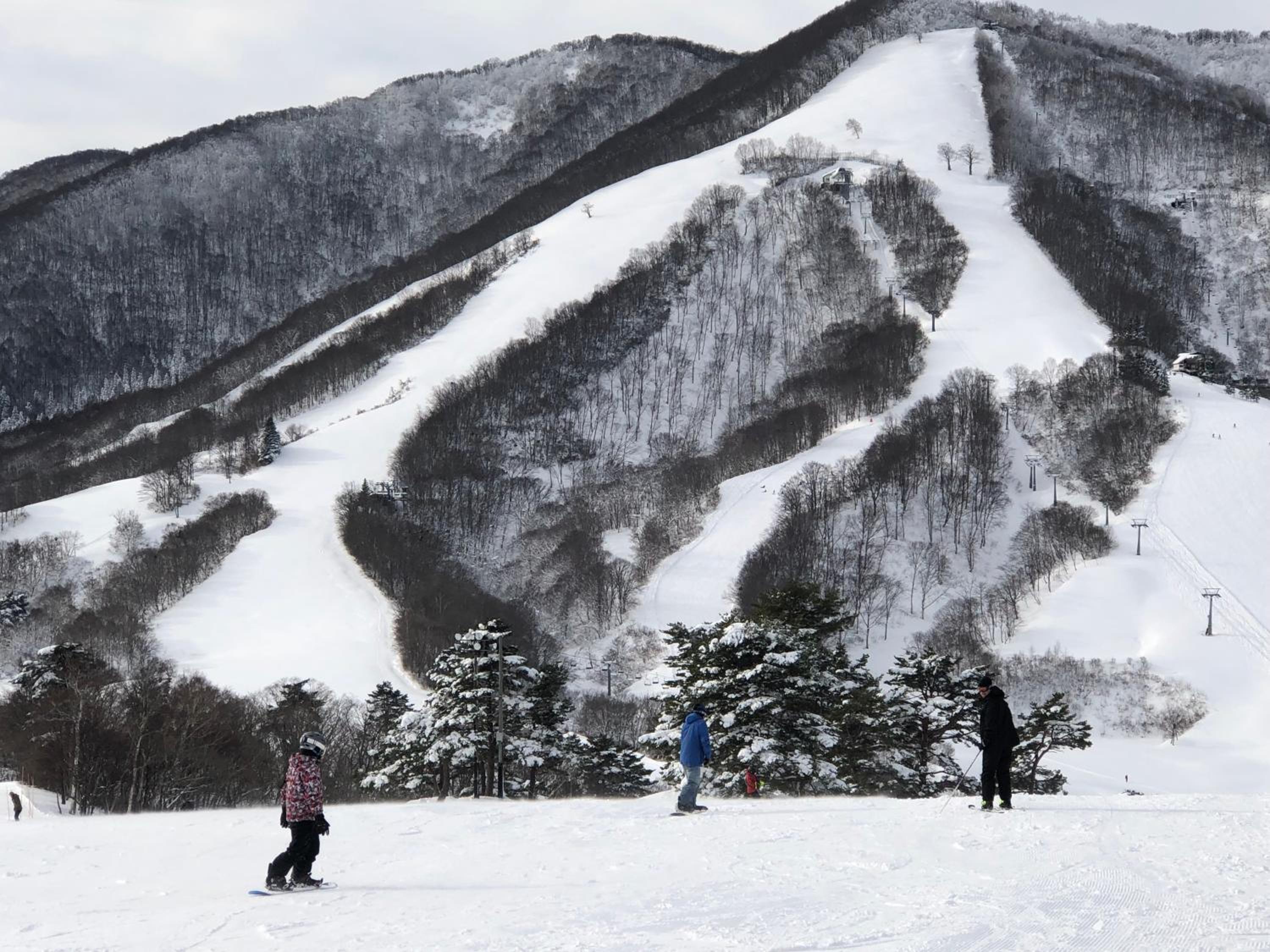 First Tracks Madarao